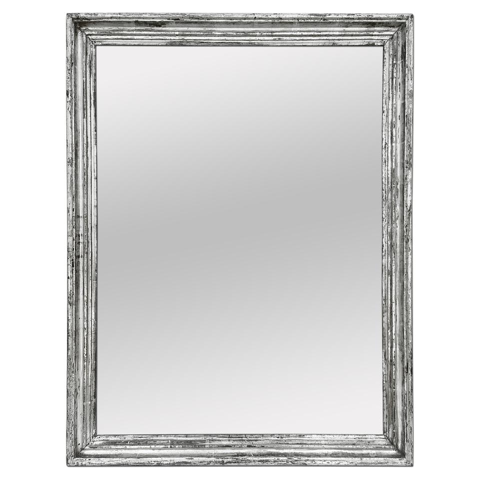 Large Antique French Mirror, Silverwood Patinated, circa 1890