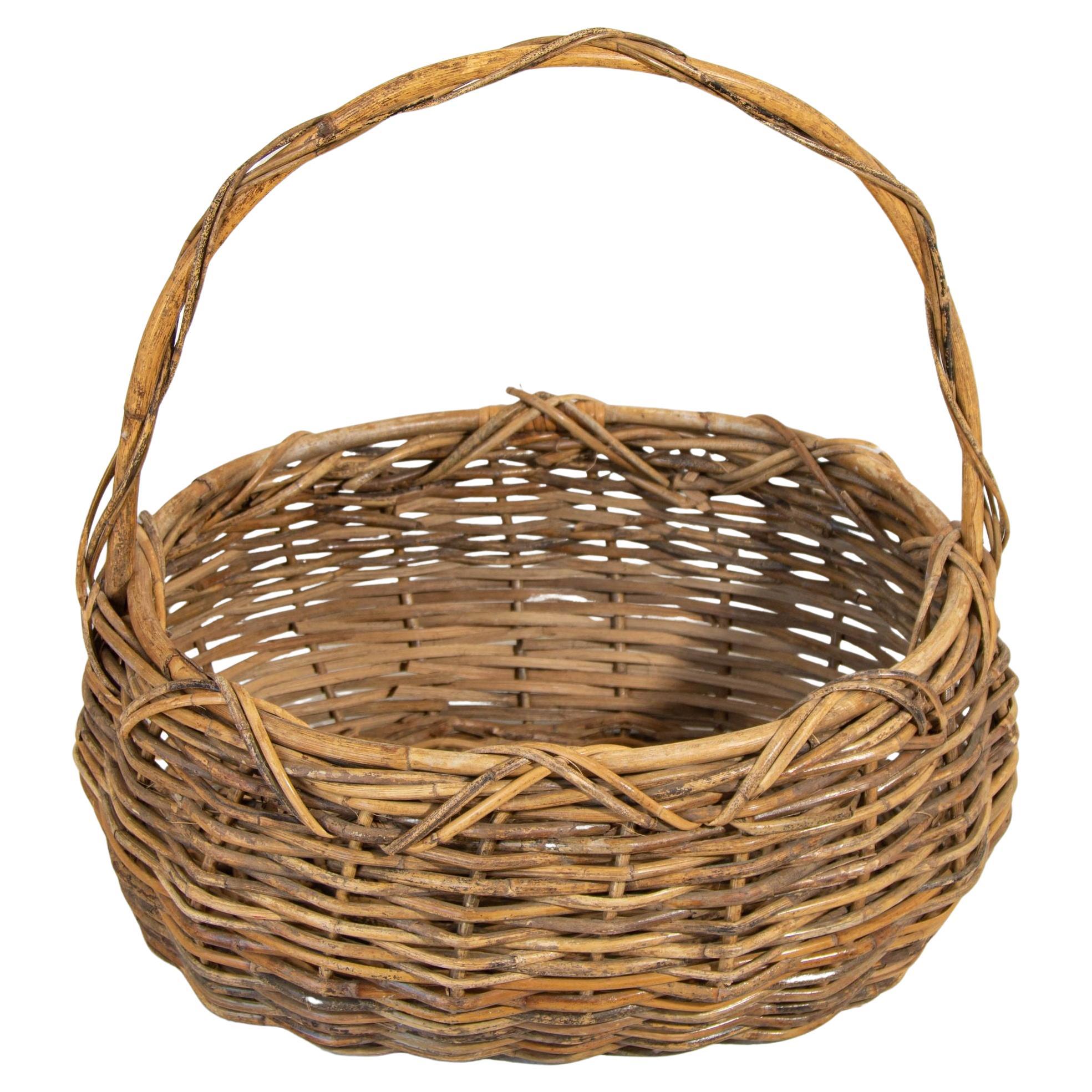 Large Antique French Provincial Grape Harvest Wicker Basket with Single Handle For Sale