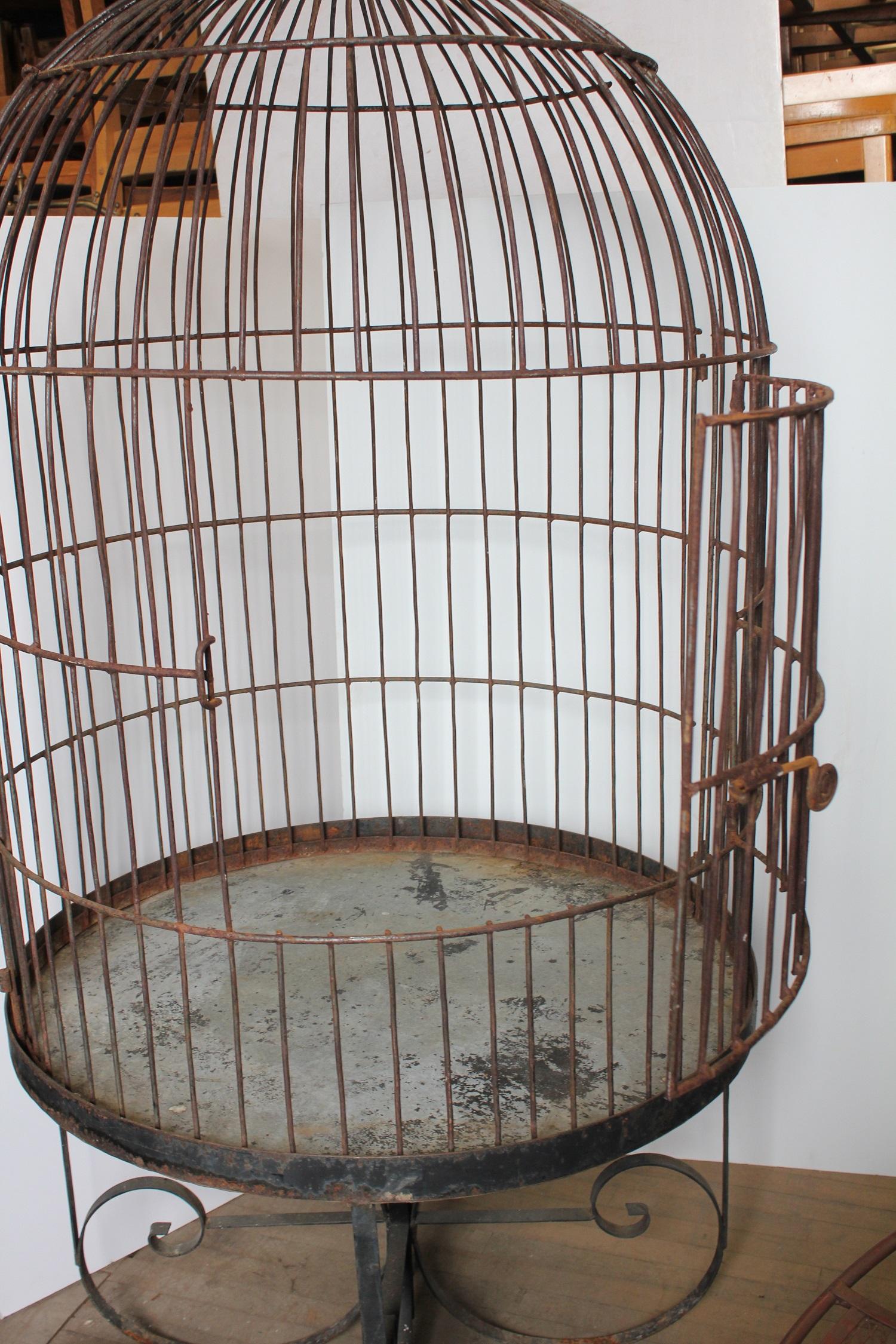 Large antique French wrought iron bird cage. Original paint.