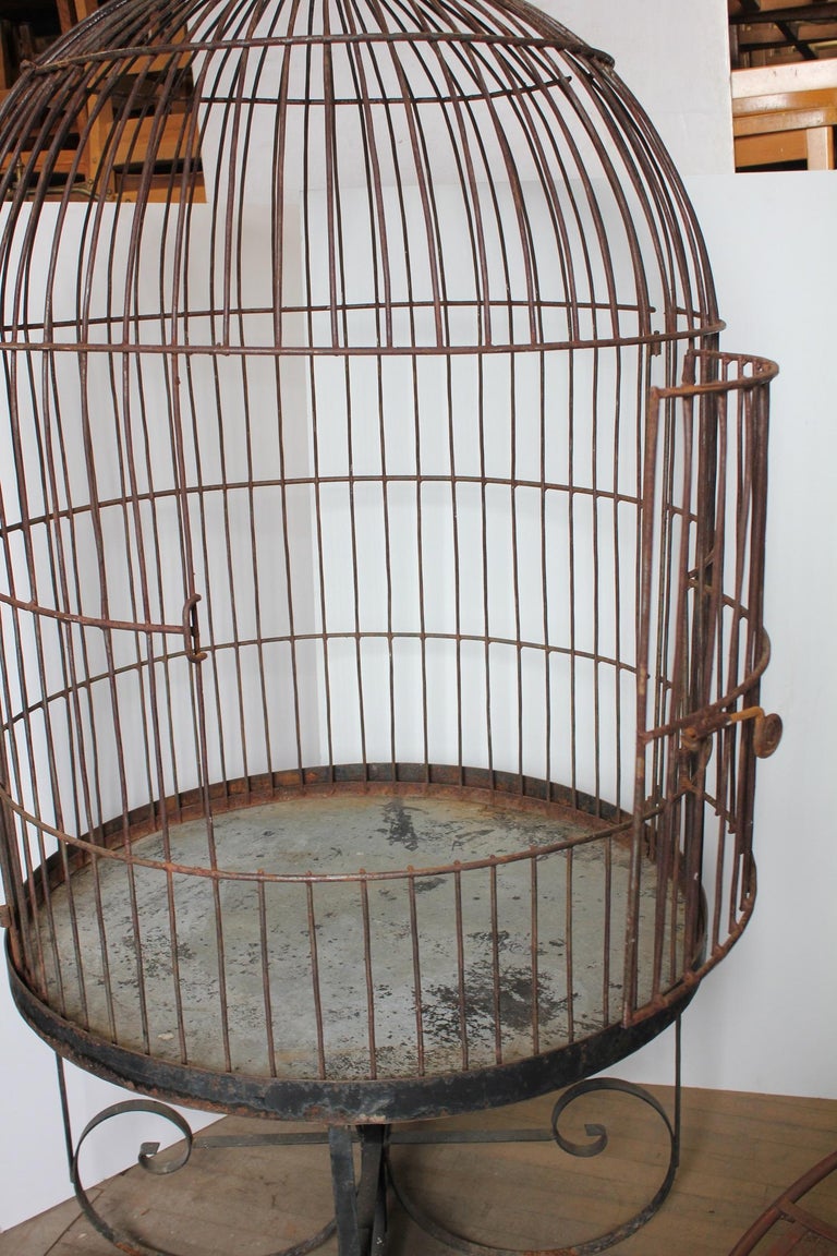 Large Vintage Bird Cages Images