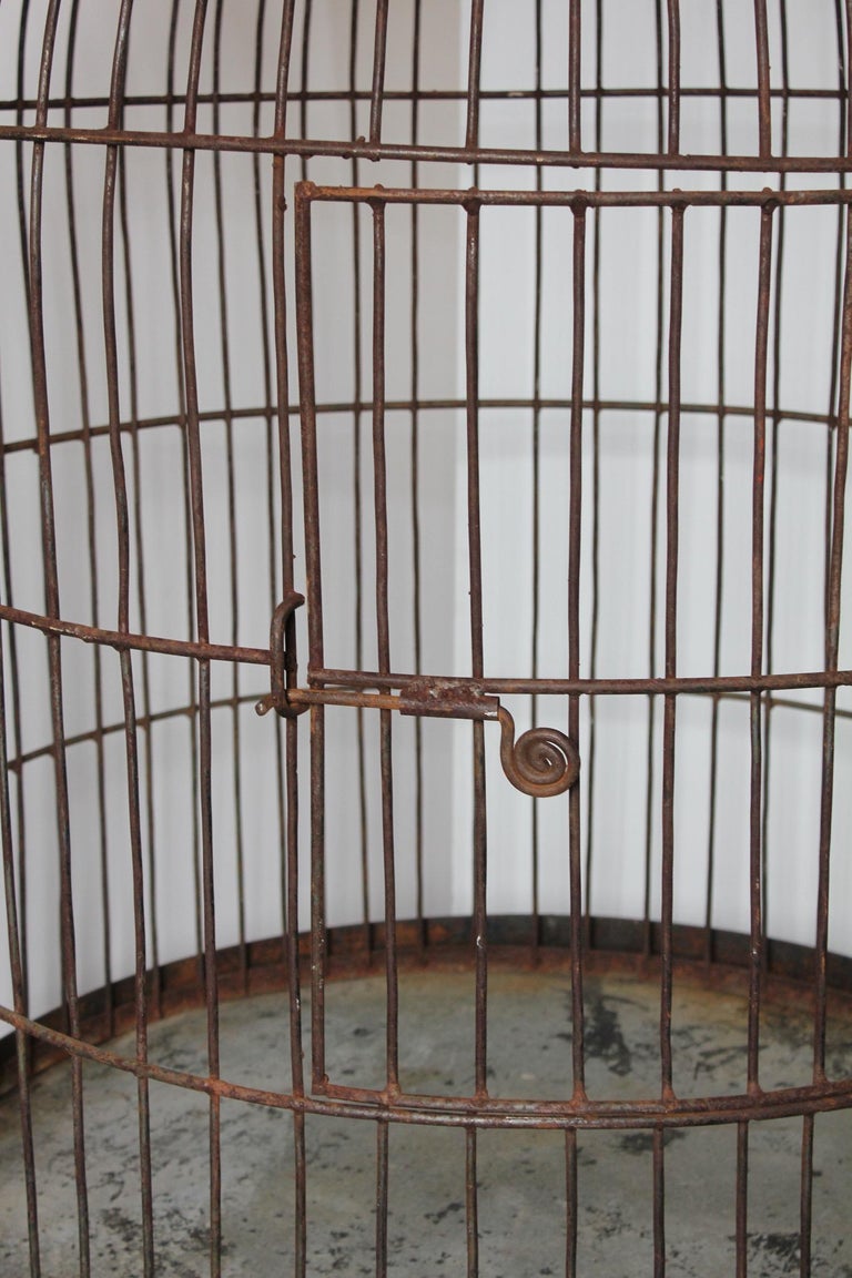 Large Antique French Wrought Iron Bird Cage For Sale at 1stDibs