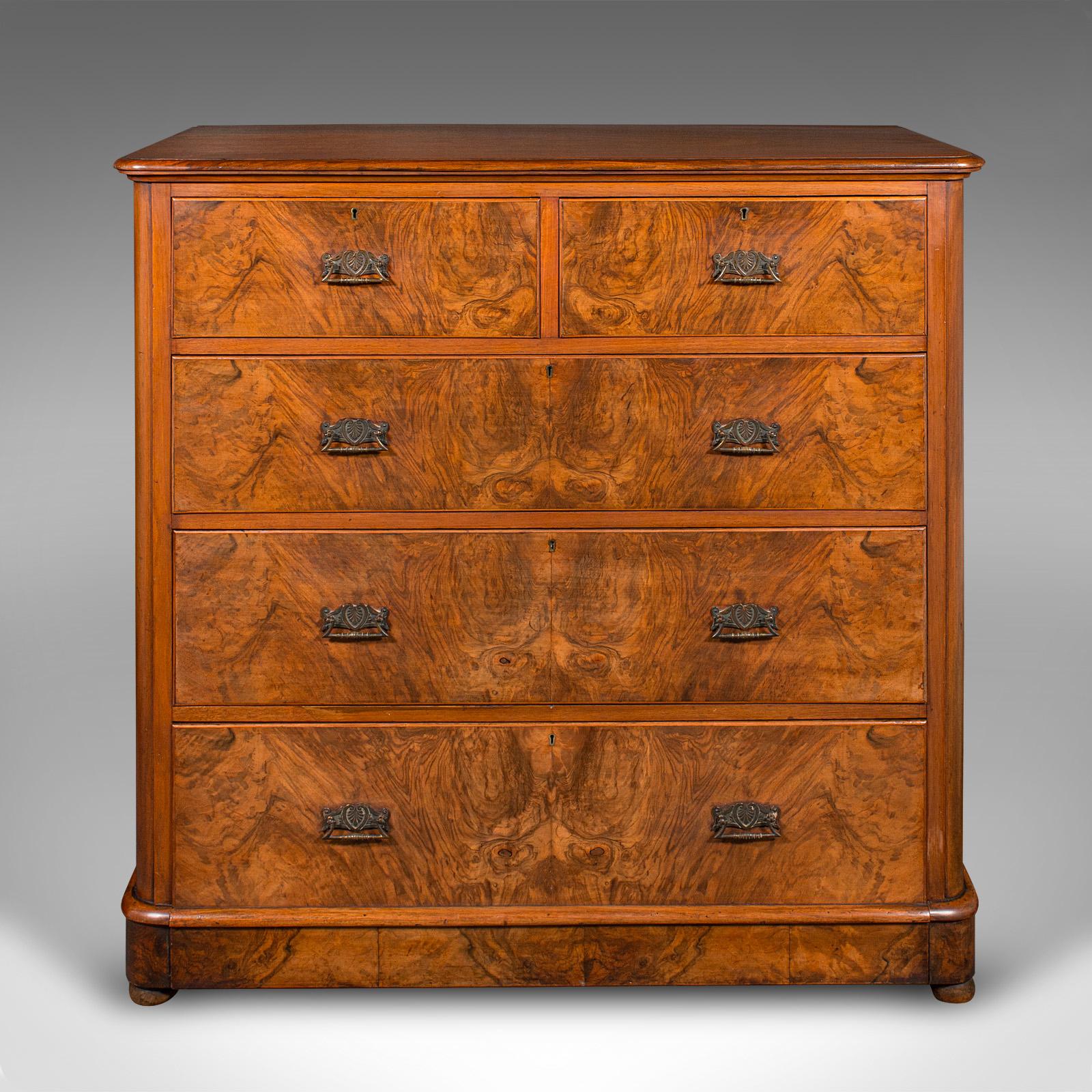 Si tratta di un grande stivale d'epoca per gentiluomini. Una cassettiera inglese in noce, risalente al primo periodo vittoriano, circa 1850.

Un esemplare sorprendente con una bella figurazione e un affascinante cassetto a culla
Presenta una patina