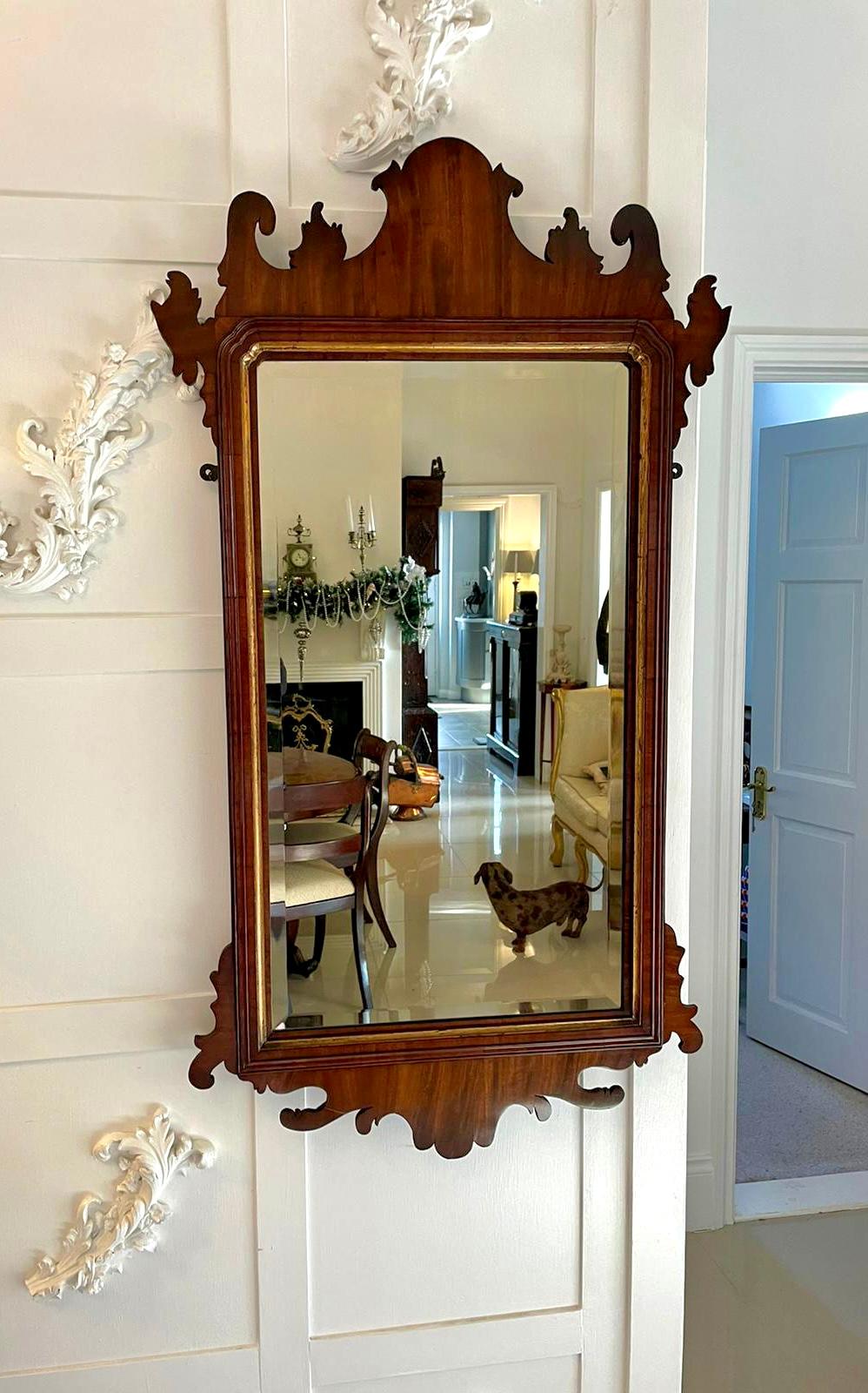 Large antique George III quality walnut wall mirror having a quality walnut fretwork moulded frame with gilt decoration and original mirror plate 

A superb piece in lovely original condition

H 115 x W 63.5 x D 3cm
Date 1800.
 