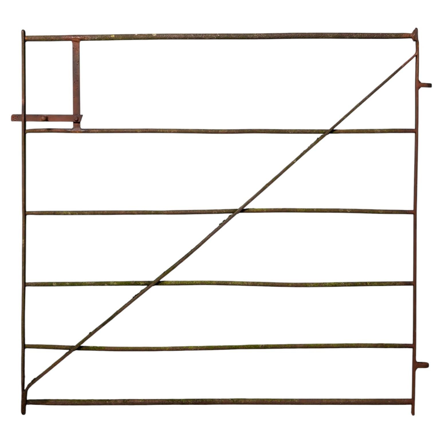 Large Antique Georgian Era Wrought Iron Side Gate For Sale