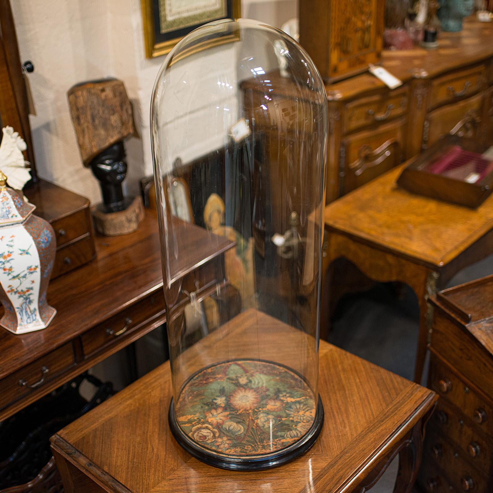 20th Century Large Antique Glass Display Dome, English, Taxidermy, Showcase, Victorian, 1900