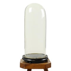 Large Antique Glass Dome Globe Mouth-blown Asian Wooden Base