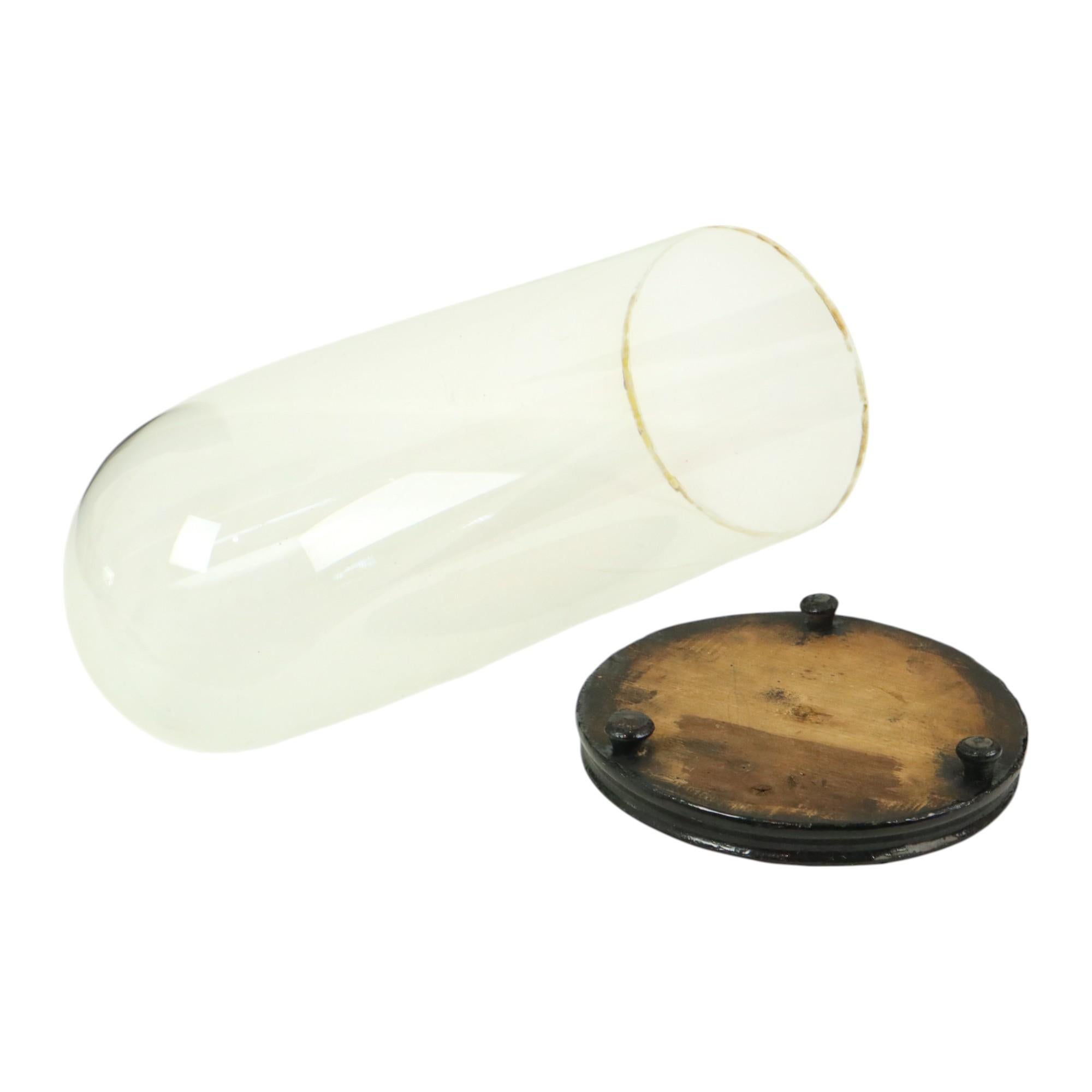 Großer antiker Glaskuppel-Globus Mundgeblasenes Glas Anfang 20. im Angebot 2