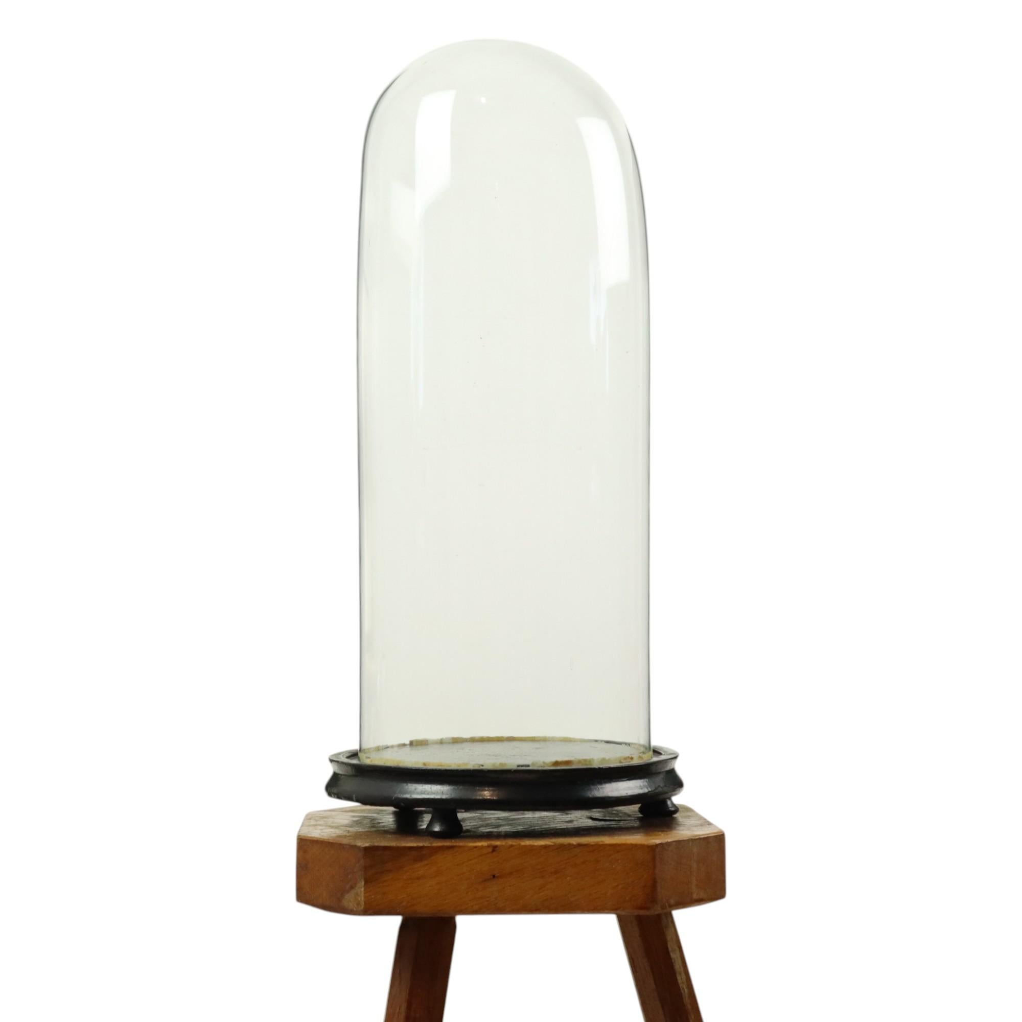 Großer antiker Glaskuppel-Globus Mundgeblasenes Glas Anfang 20. im Angebot 4