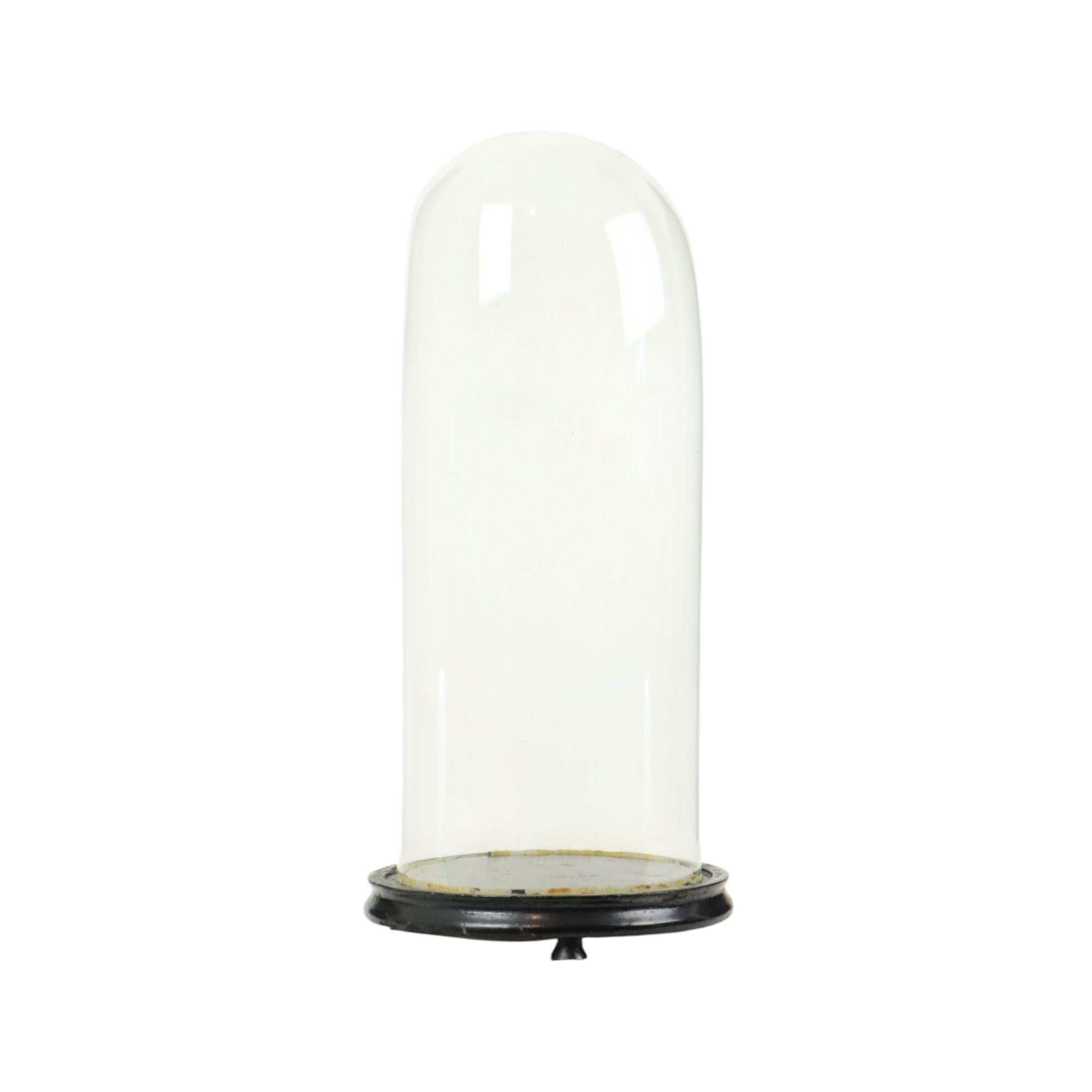 Großer antiker Glaskuppel-Globus Mundgeblasenes Glas Anfang 20. (Viktorianisch) im Angebot