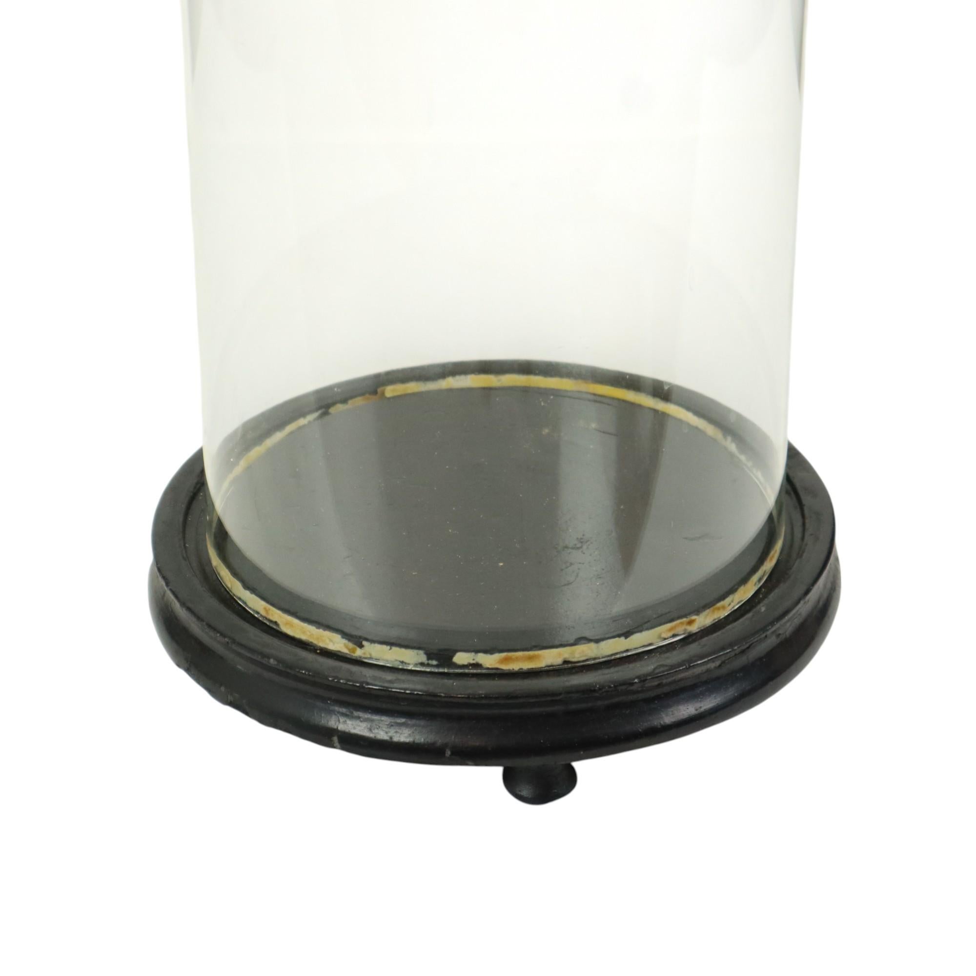 Großer antiker Glaskuppel-Globus Mundgeblasenes Glas Anfang 20. (Europäisch) im Angebot