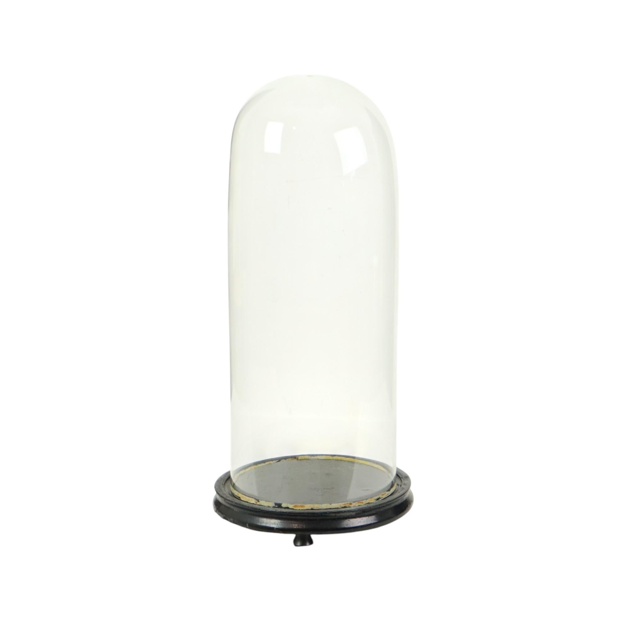 Großer antiker Glaskuppel-Globus Mundgeblasenes Glas Anfang 20. im Zustand „Gut“ im Angebot in Poperinge, BE