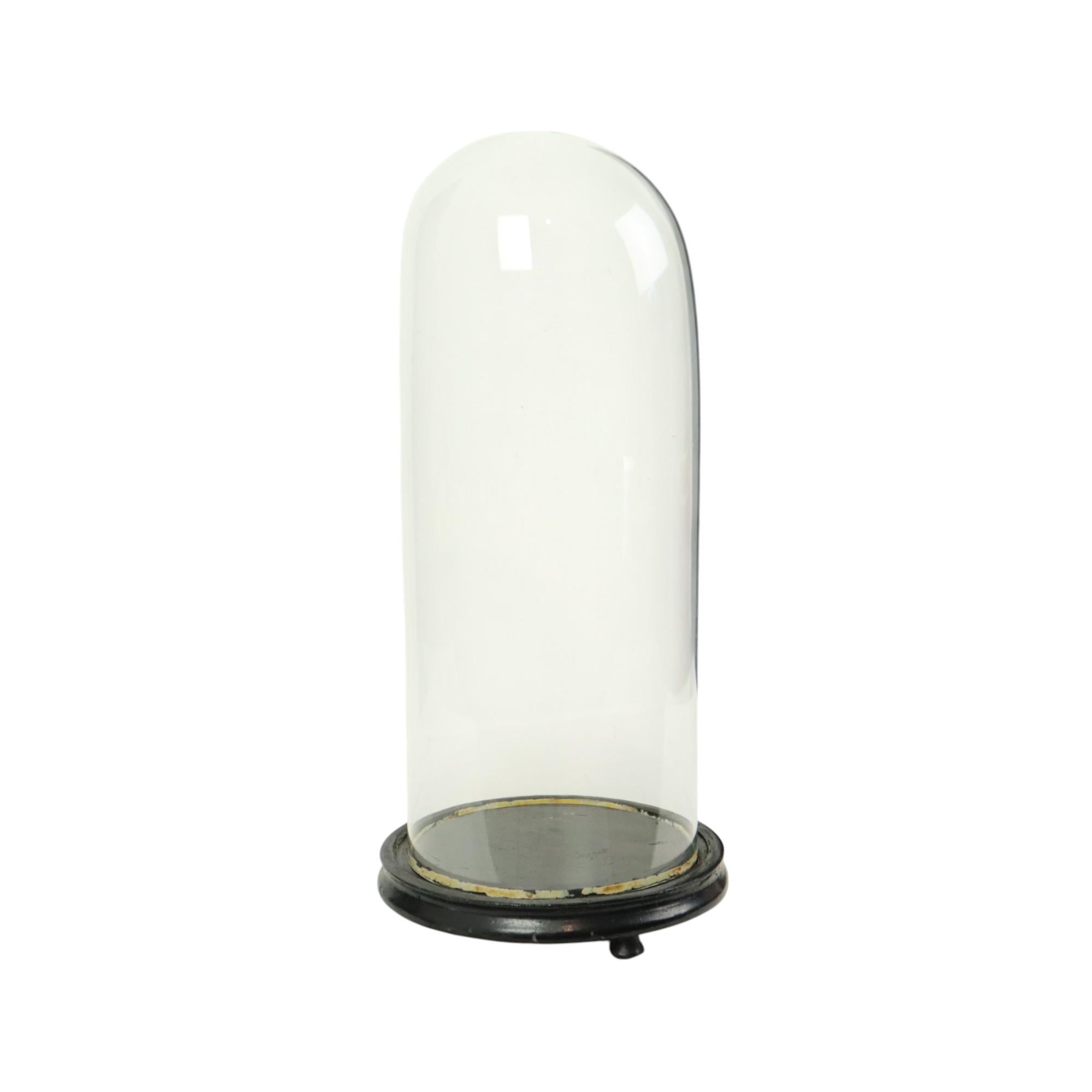 Großer antiker Glaskuppel-Globus Mundgeblasenes Glas Anfang 20. (20. Jahrhundert) im Angebot