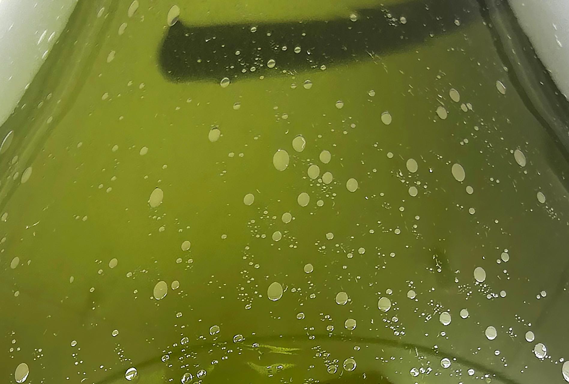 XIX secolo Large Antique Hand-blown Glass Bocksbeutel Wine Bottle, Coil Grip from Persia in vendita