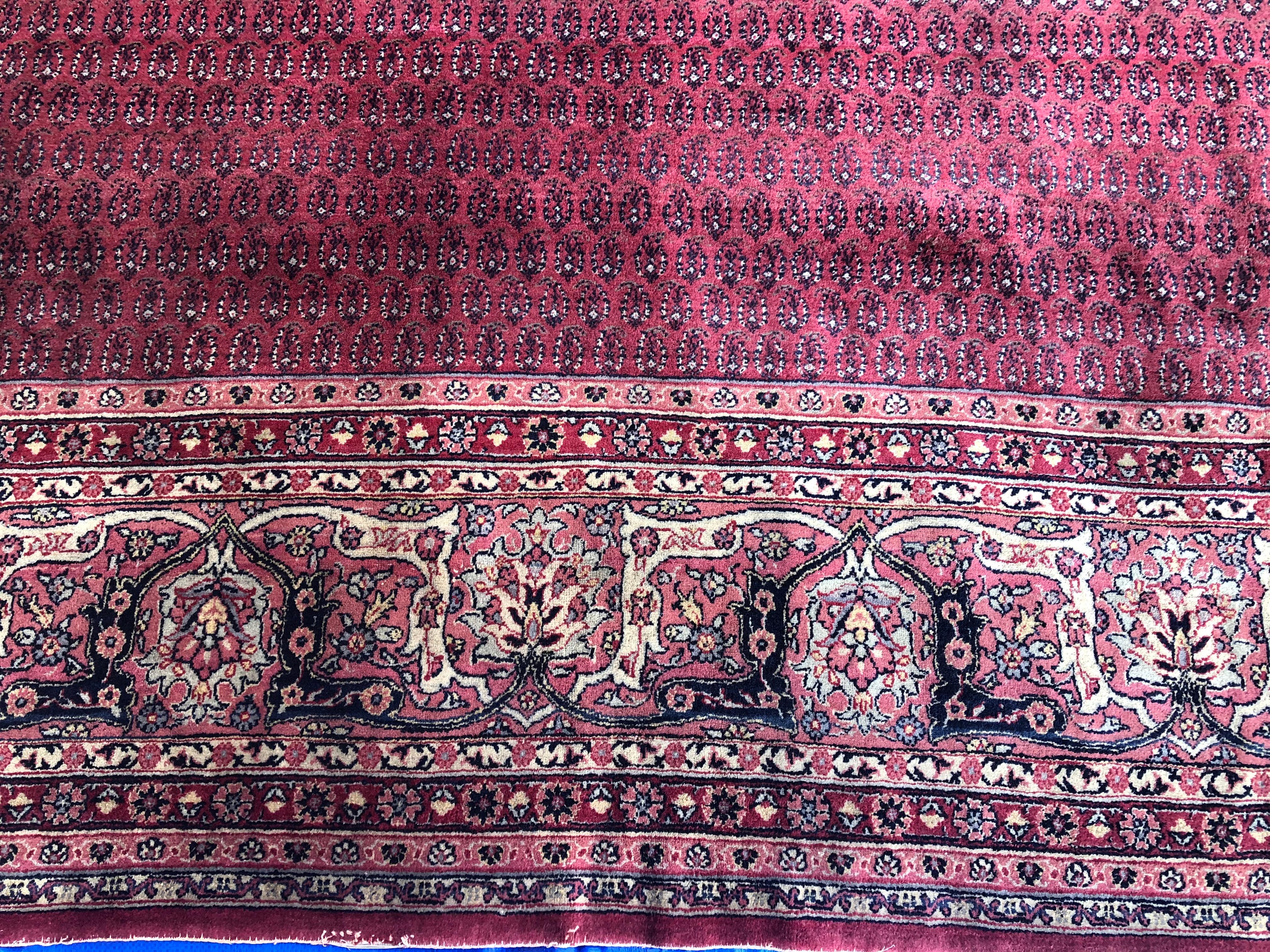 Large Antique Hand Knotted Silk and Wool Senneh Rug In Good Condition For Sale In Miami, FL