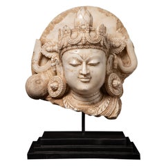 Grande testa antica di Bodhisattva in marmo indiano proveniente dall'India