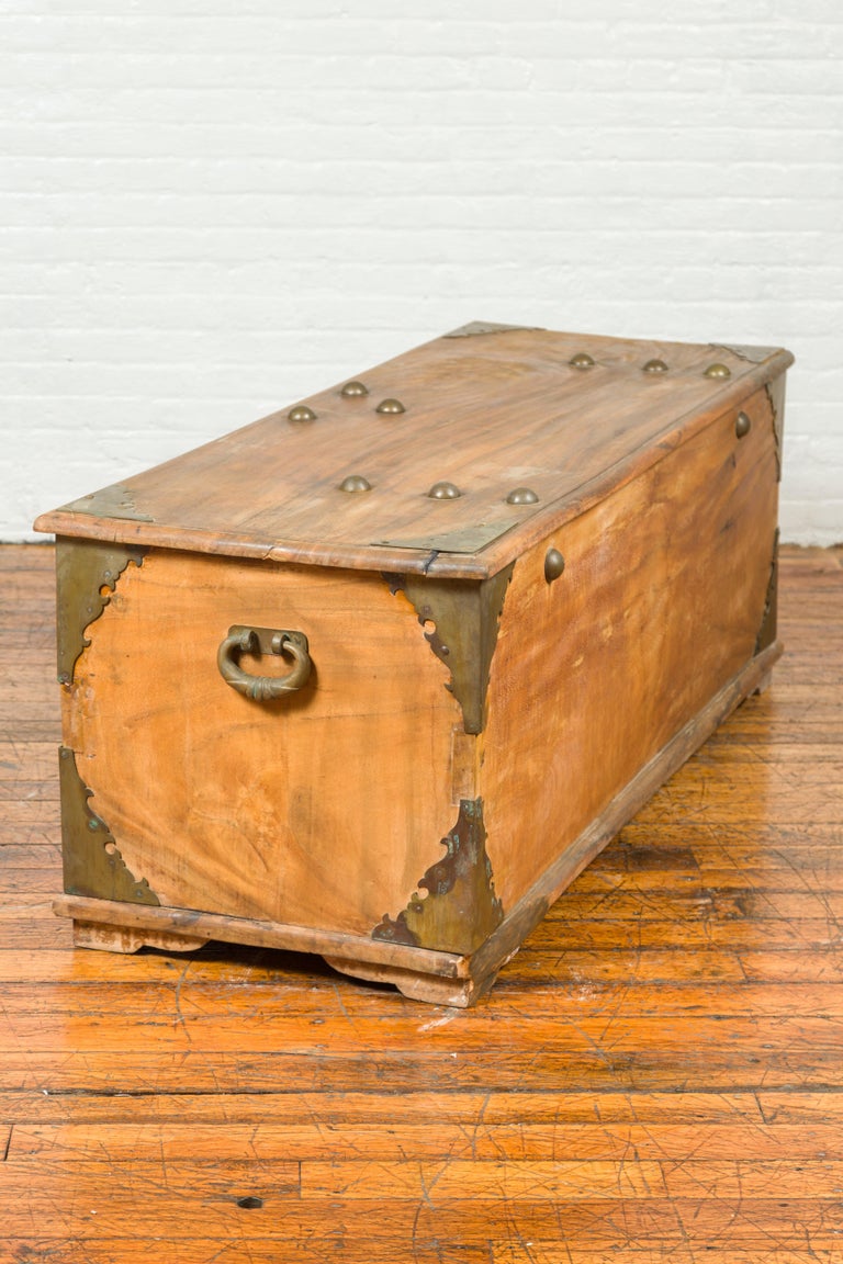 Large Antique Indian Wooden Blanket Chest with Bronze Hardware and