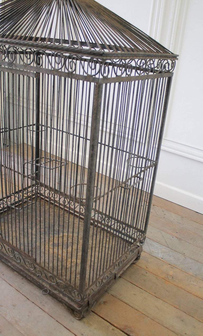 Large Antique Iron Bird Cage at 1stDibs large antique bird cage