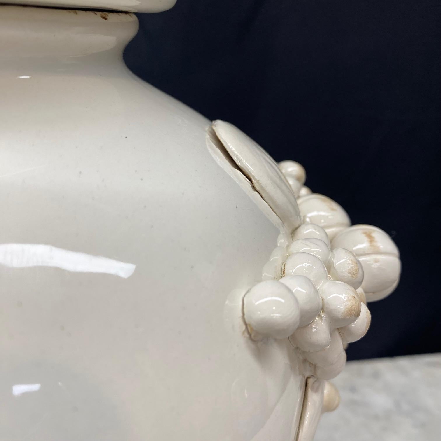 Grande coppia antica di vasi a urna in ceramica bianca in stile speziale in vendita 2