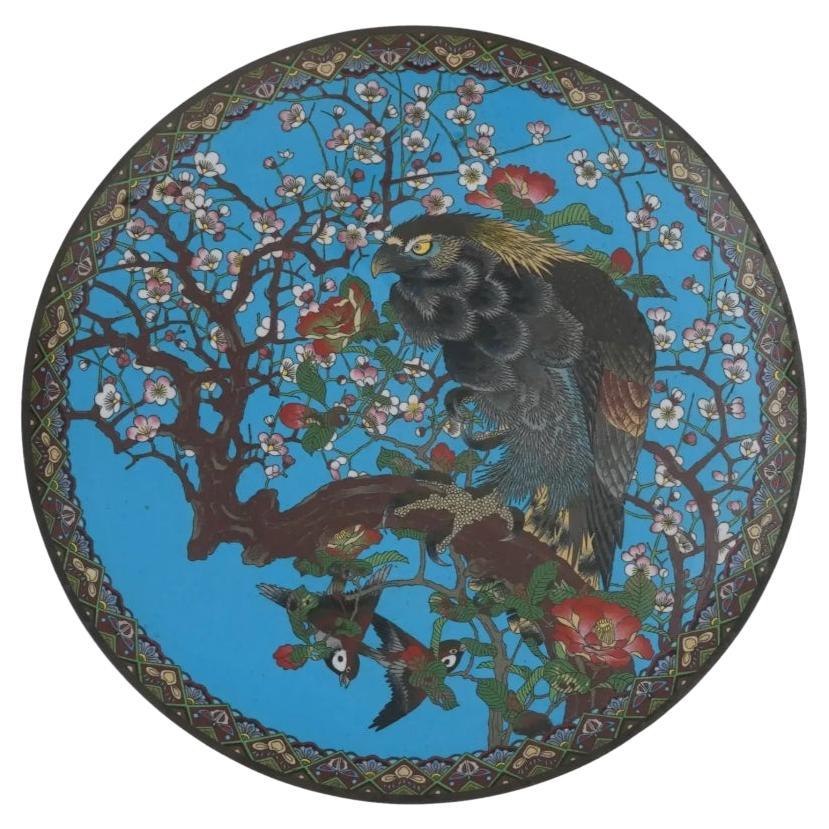 Grande charge japonaise ancienne en émail cloisonné, faucon noir dans un cerisier en fleurs