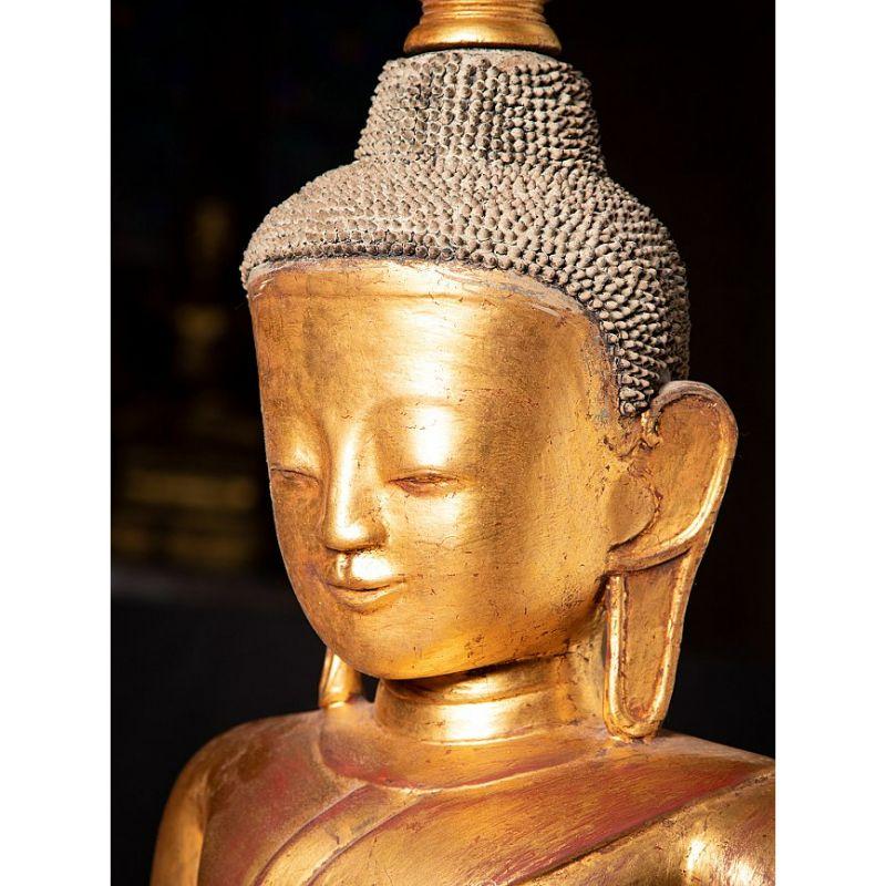 Large Antique Lacquerware Buddha Statue from Burma Original Buddhas 2