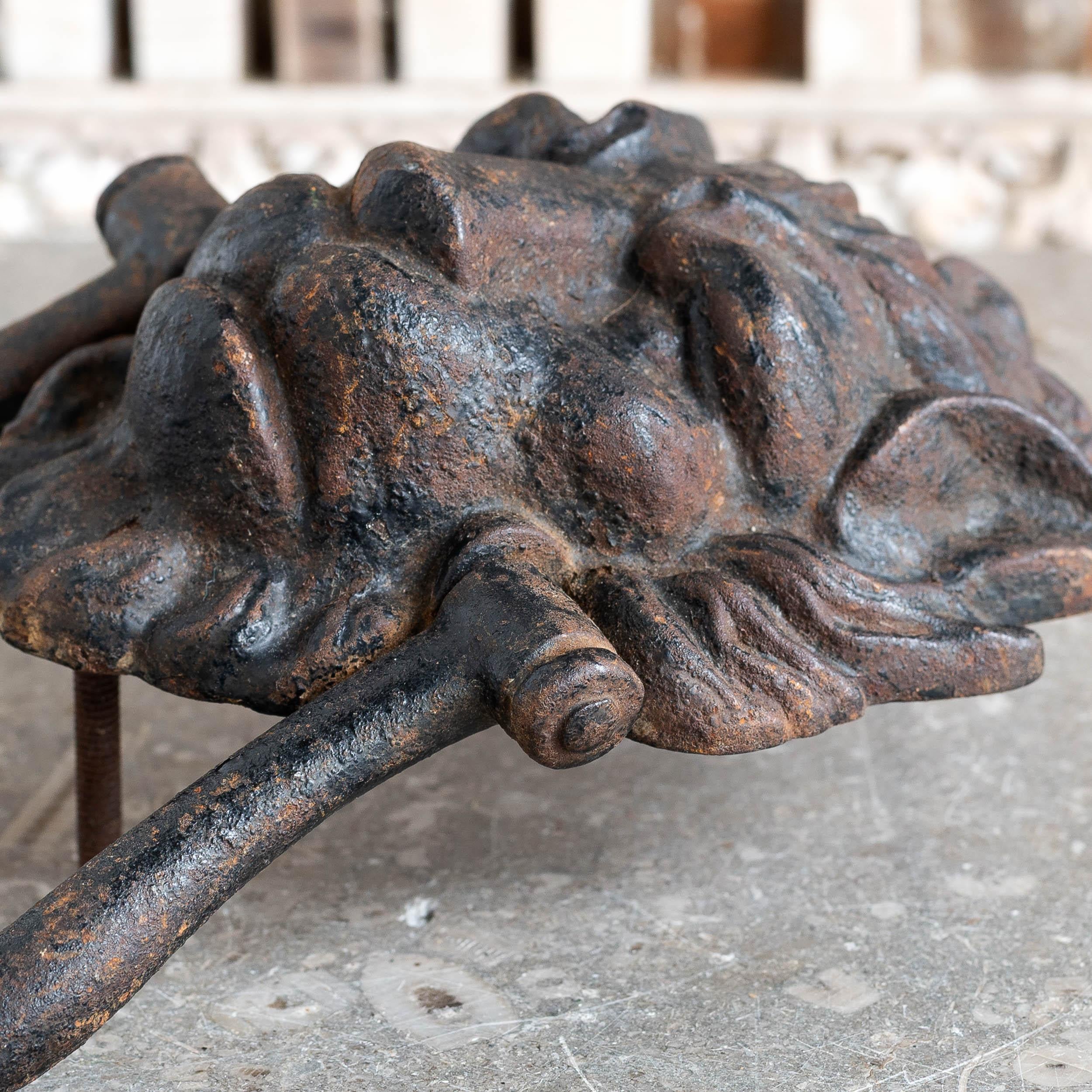19th Century Large Antique Lion's Mask Door Knocker For Sale