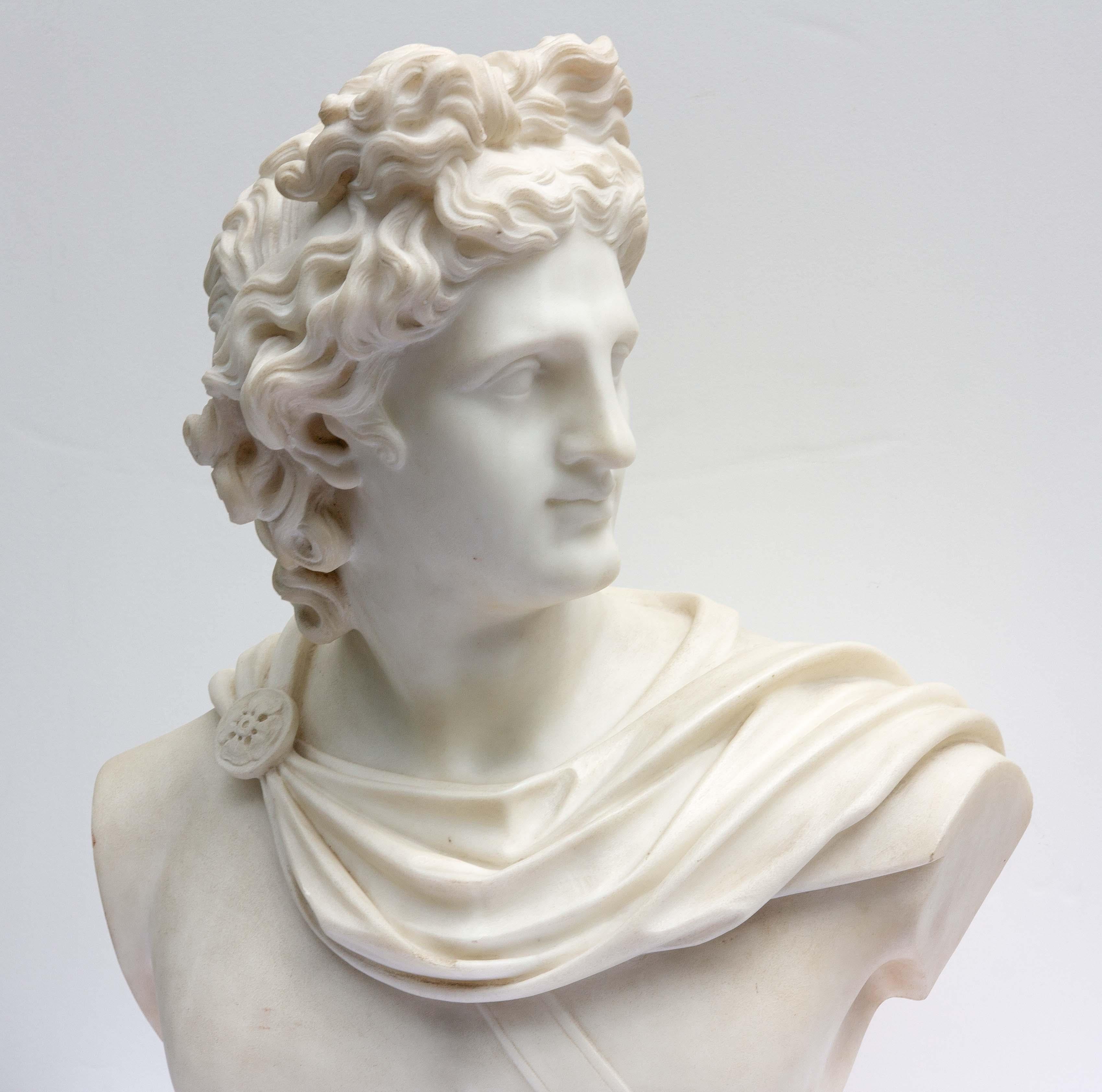 Large Antique Marble Bust of Apollo of Belvedere, 19th Century For Sale 2
