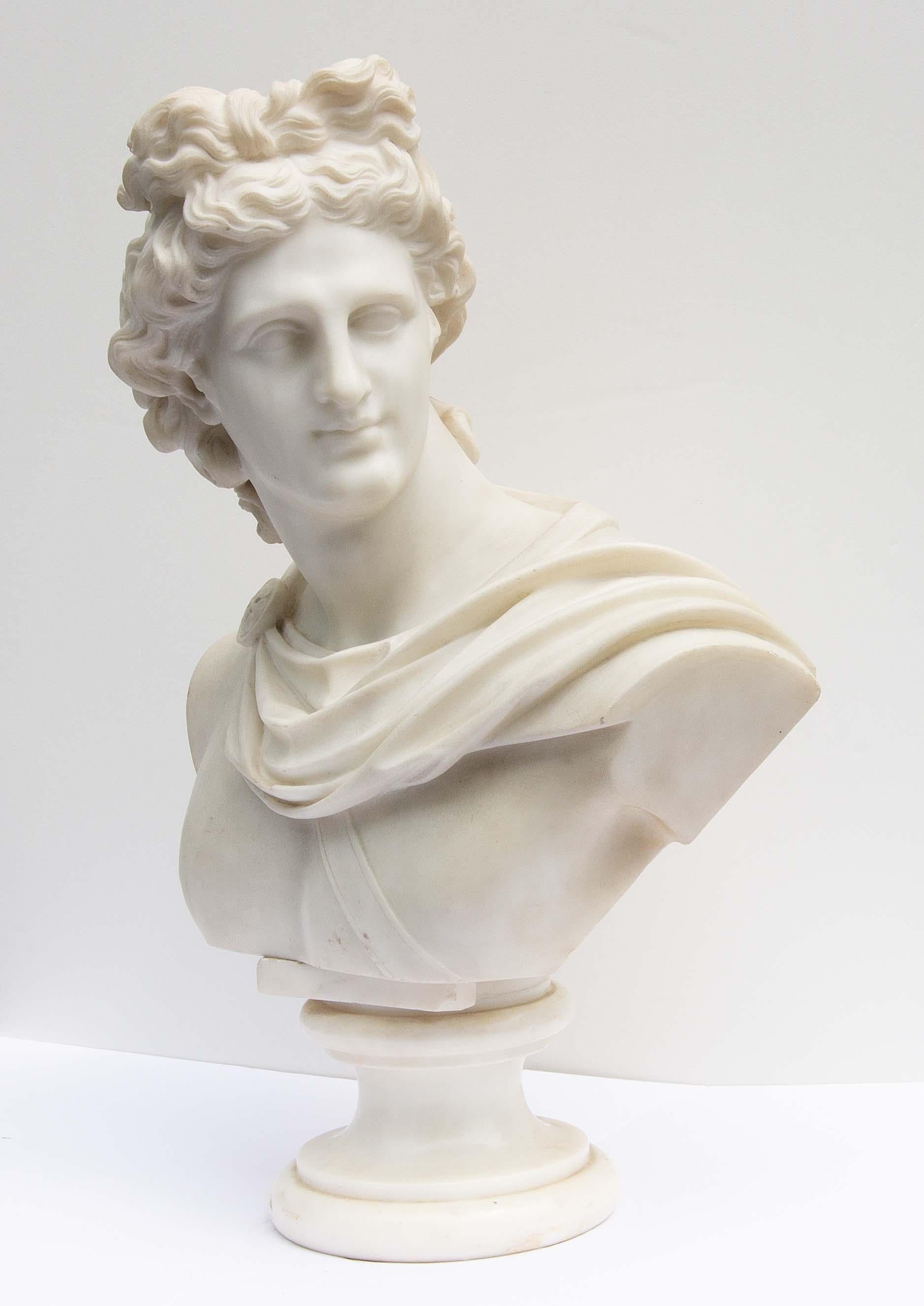 Classical Roman Large Antique Marble Bust of Apollo of Belvedere, 19th Century For Sale