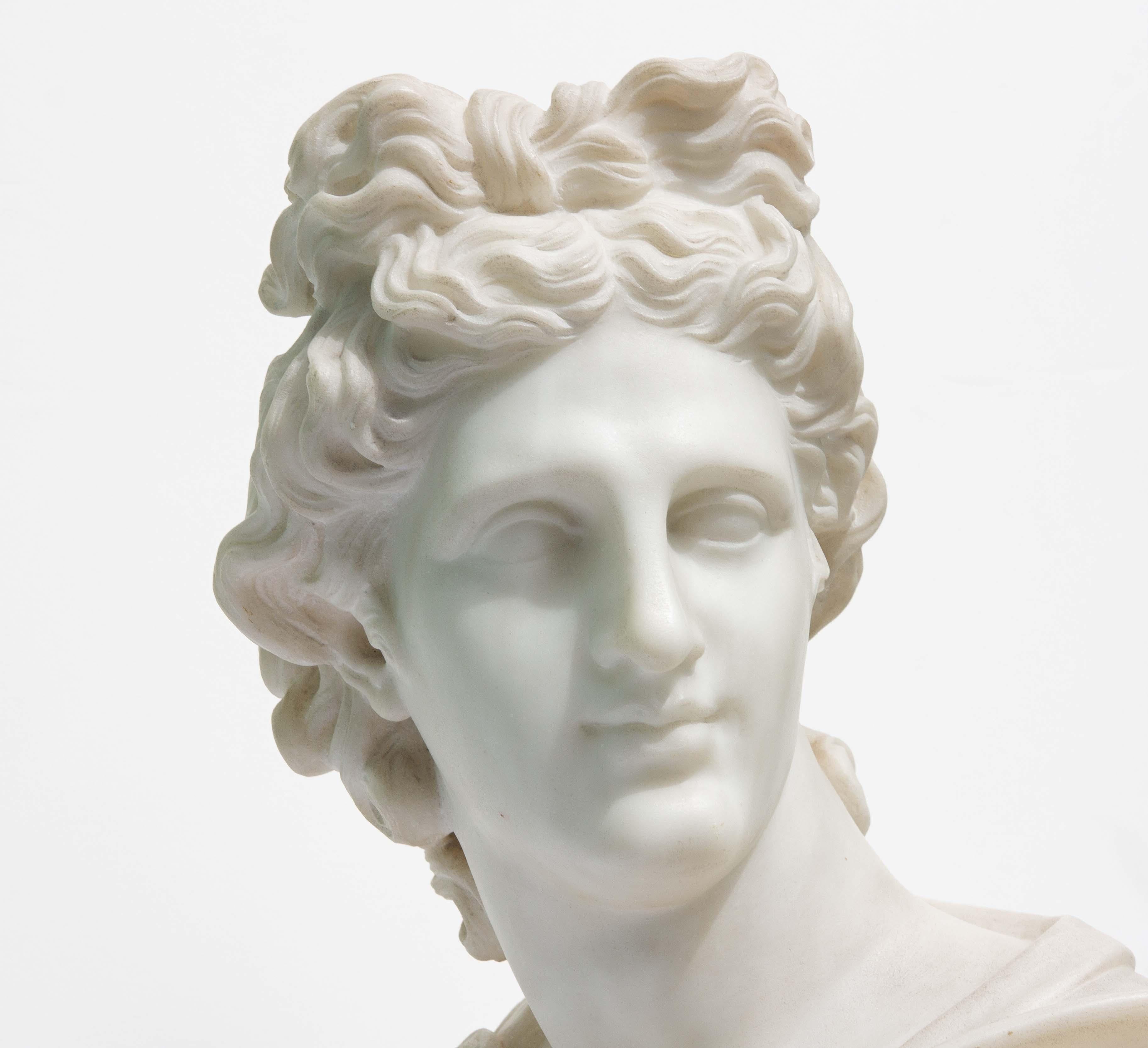 Italian Large Antique Marble Bust of Apollo of Belvedere, 19th Century For Sale