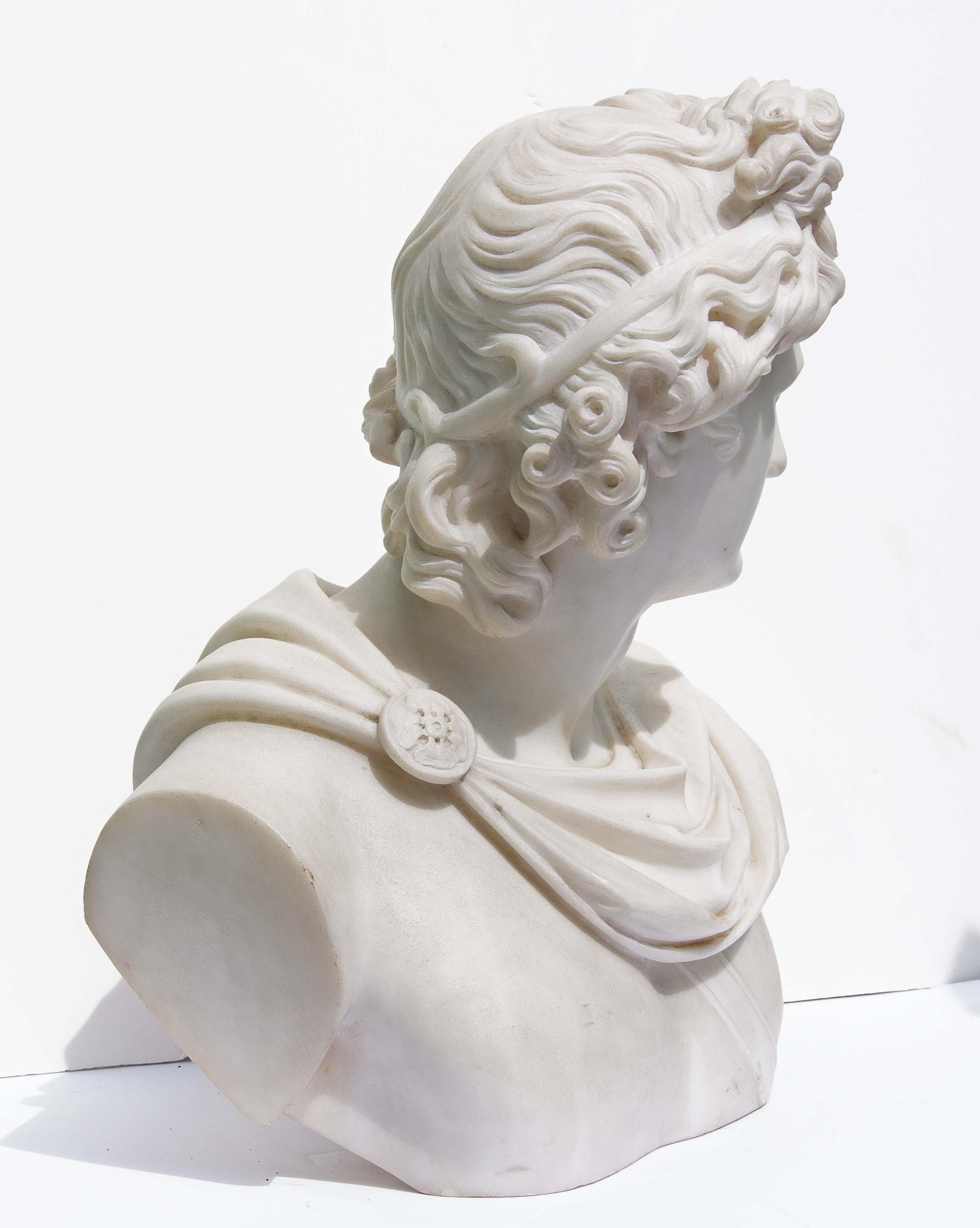 Carved Large Antique Marble Bust of Apollo of Belvedere, 19th Century For Sale