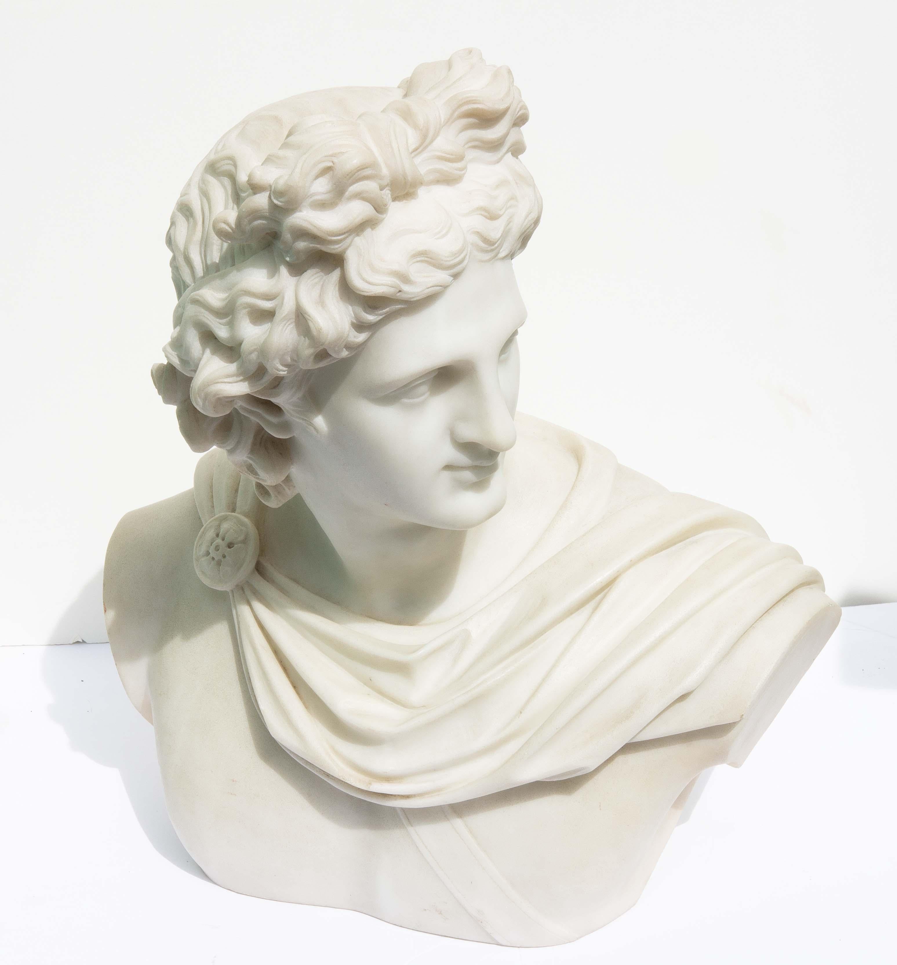Stone Large Antique Marble Bust of Apollo of Belvedere, 19th Century For Sale