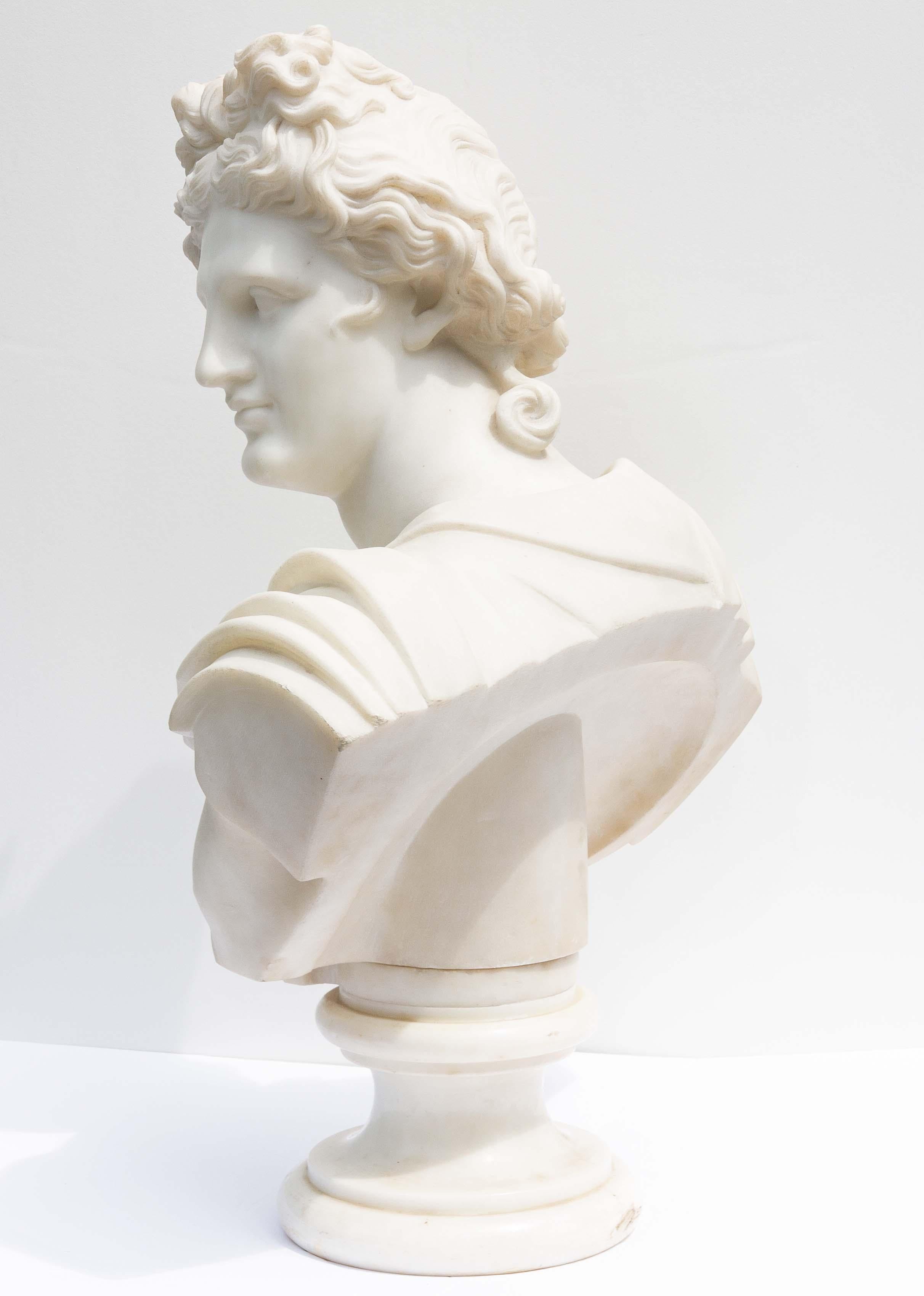Large Antique Marble Bust of Apollo of Belvedere, 19th Century For Sale 1
