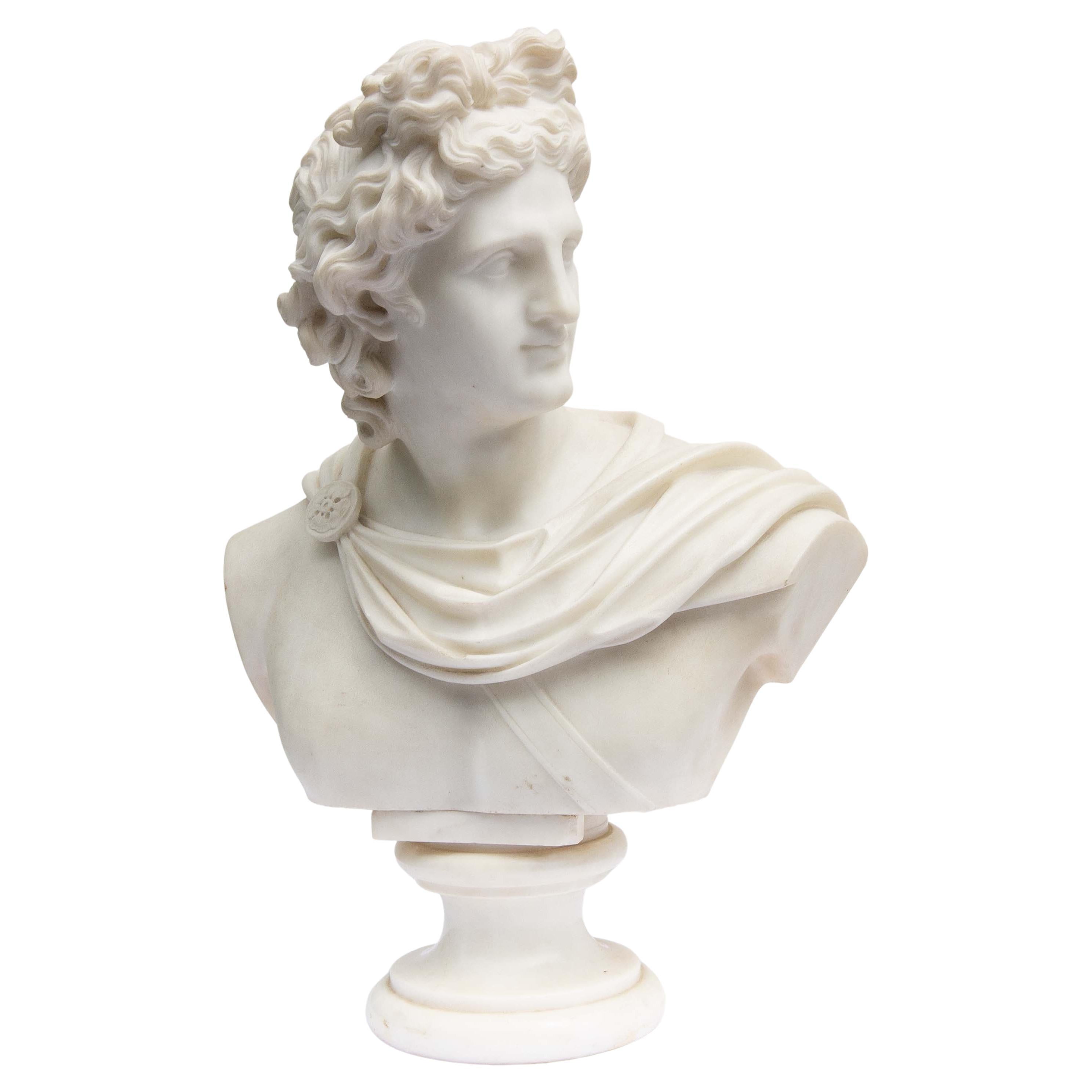 Large Antique Marble Bust of Apollo of Belvedere, 19th Century For Sale