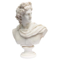 Large Antique Marble Bust of Apollo of Belvedere, 19th Century