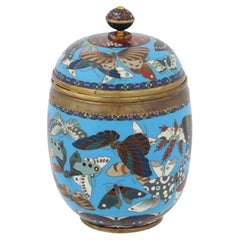 Grand pot japonais ancien couvert d'émail cloisonné avec papillons Goto