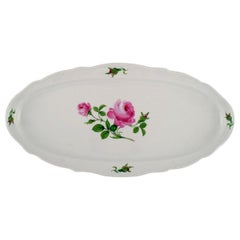 Large Antique Meissen Fish Dish in Hand Painted Porcelain with Pink Roses