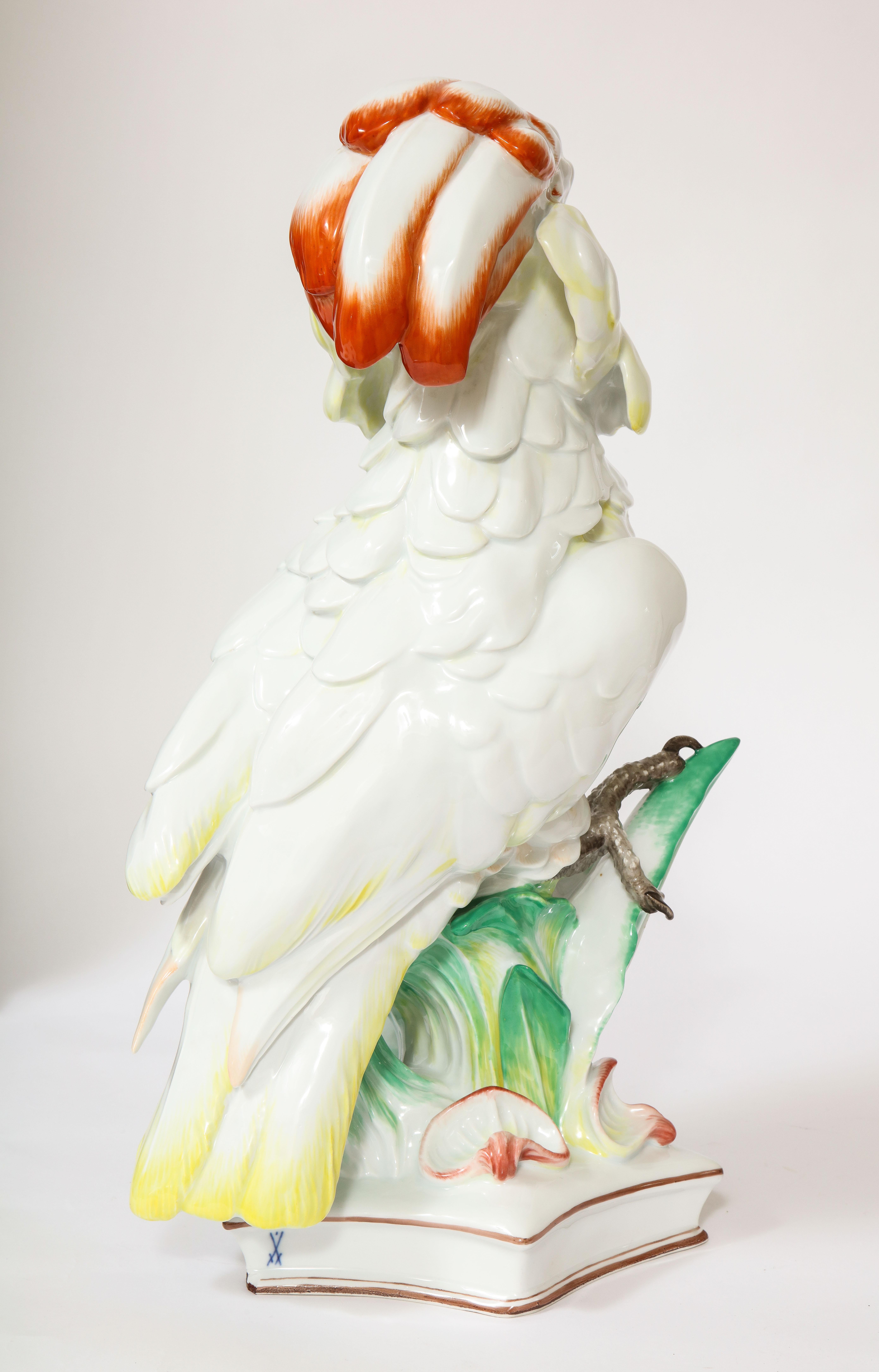 Large Antique Meissen Porcelain Model of a Seated Cockatoo, Pfiffer Period 3