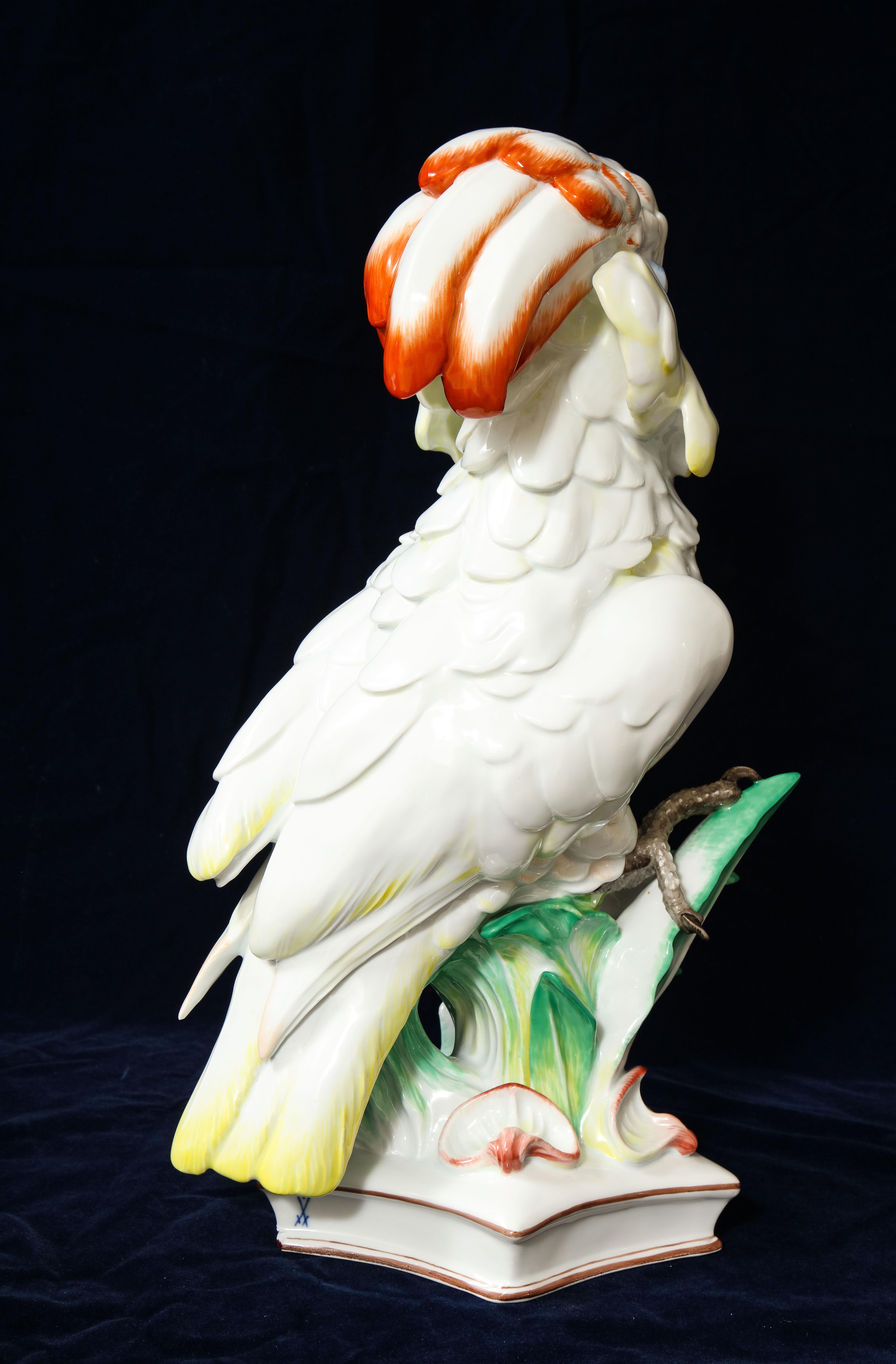 Large Antique Meissen Porcelain Model of a Seated Cockatoo, Pfiffer Period 4