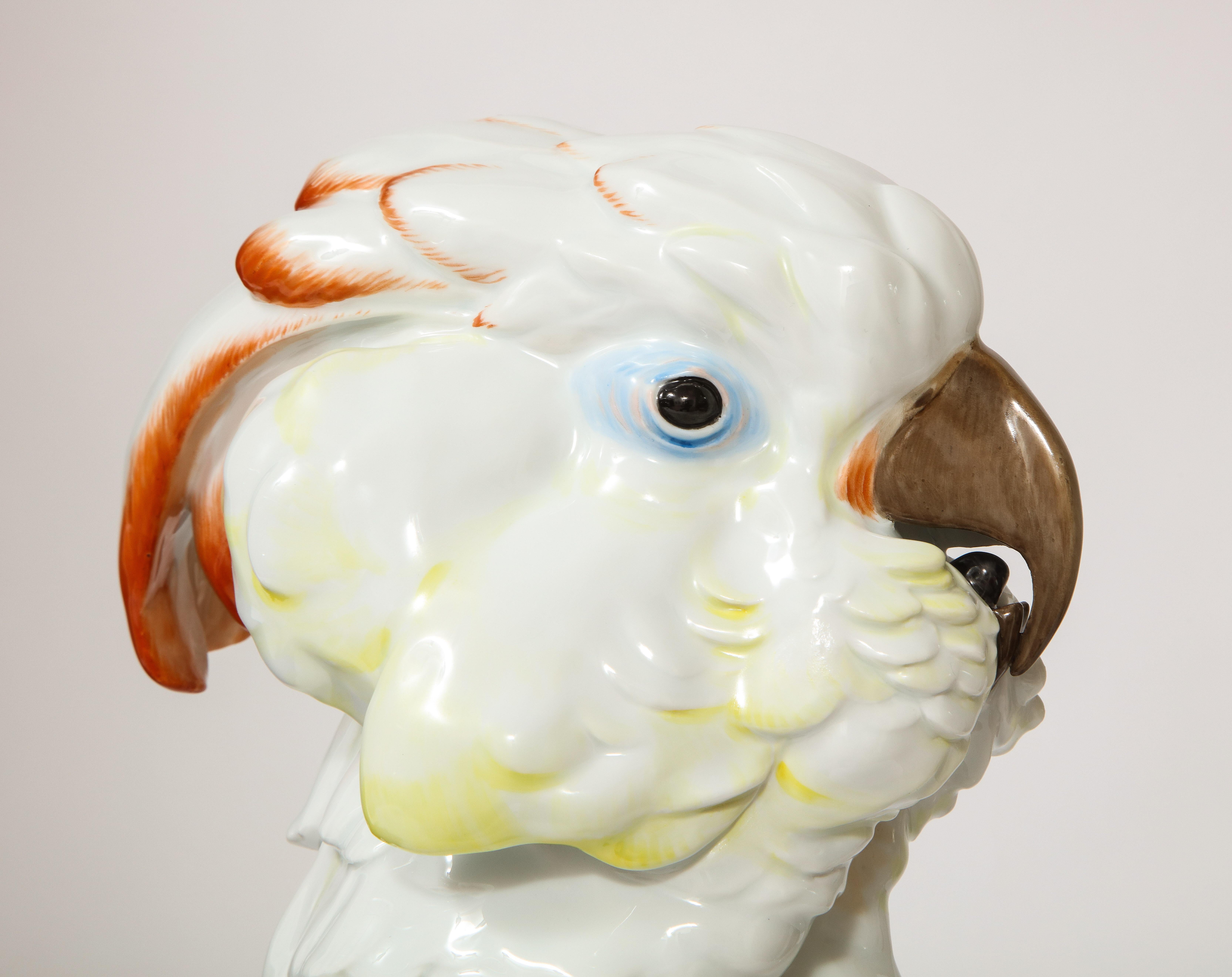 Large Antique Meissen Porcelain Model of a Seated Cockatoo, Pfiffer Period 5