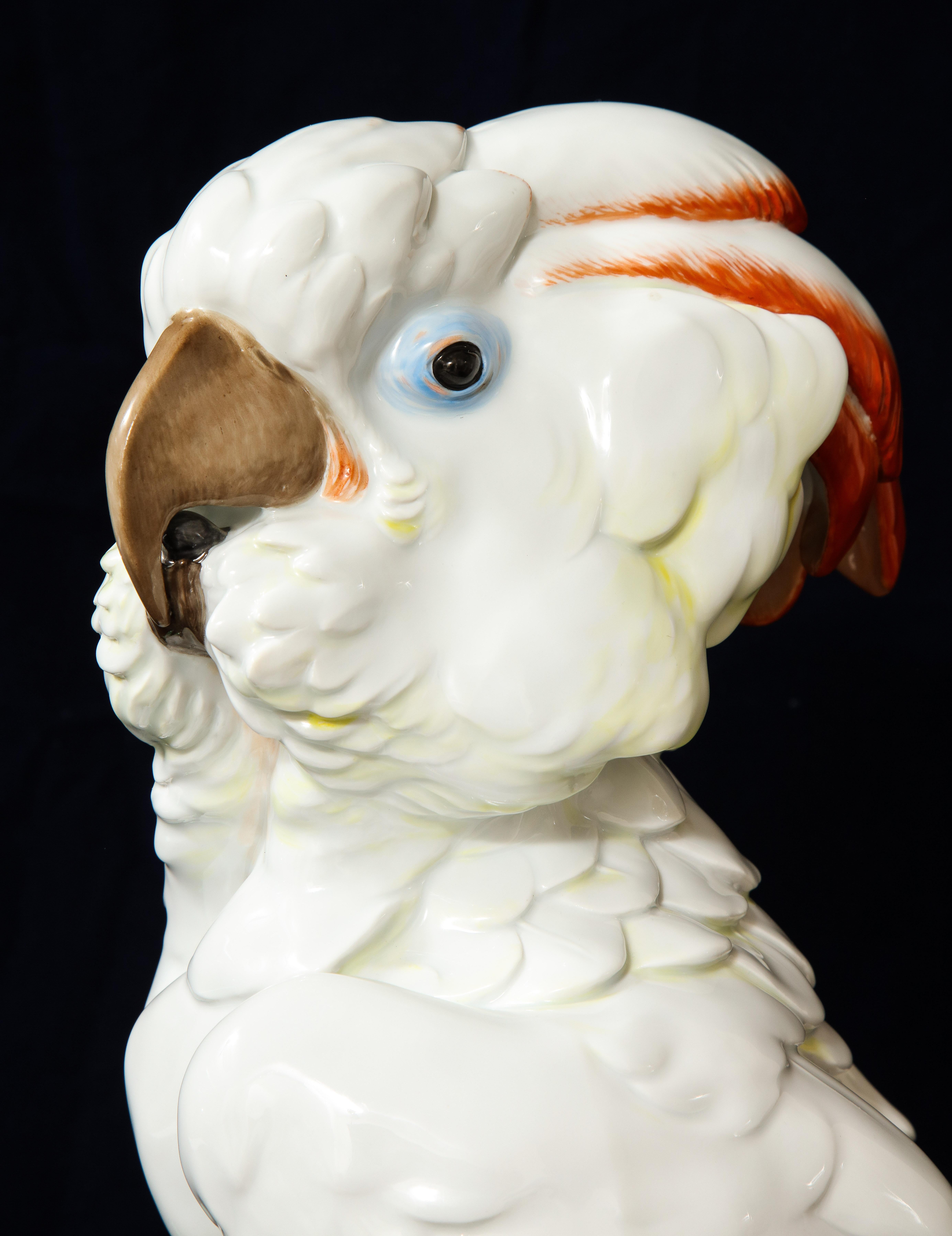 Large Antique Meissen Porcelain Model of a Seated Cockatoo, Pfiffer Period 6