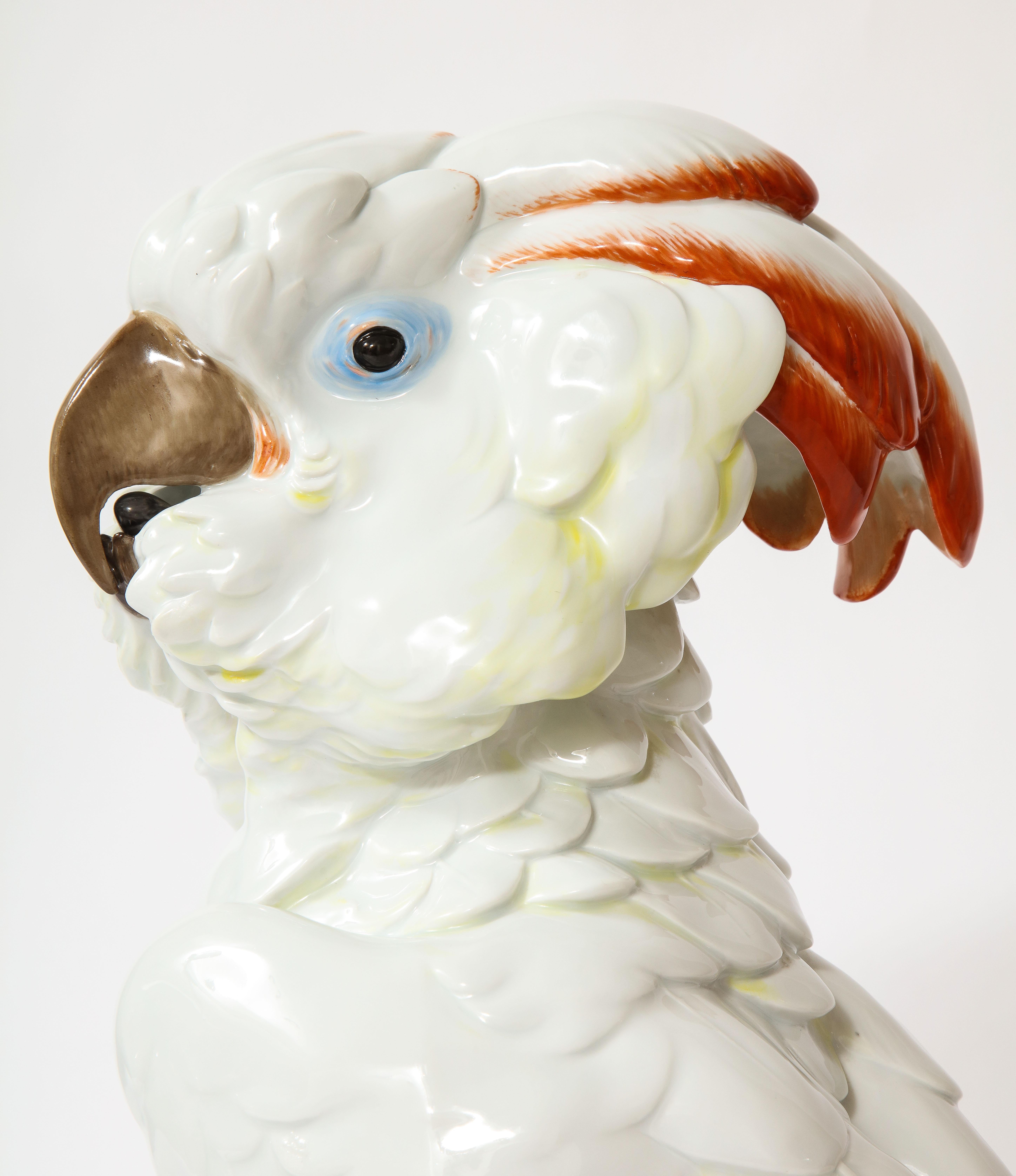 Large Antique Meissen Porcelain Model of a Seated Cockatoo, Pfiffer Period 7