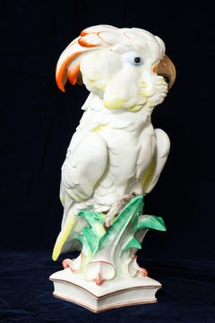Large Antique Meissen Porcelain Model of a Seated Cockatoo, Pfiffer Period