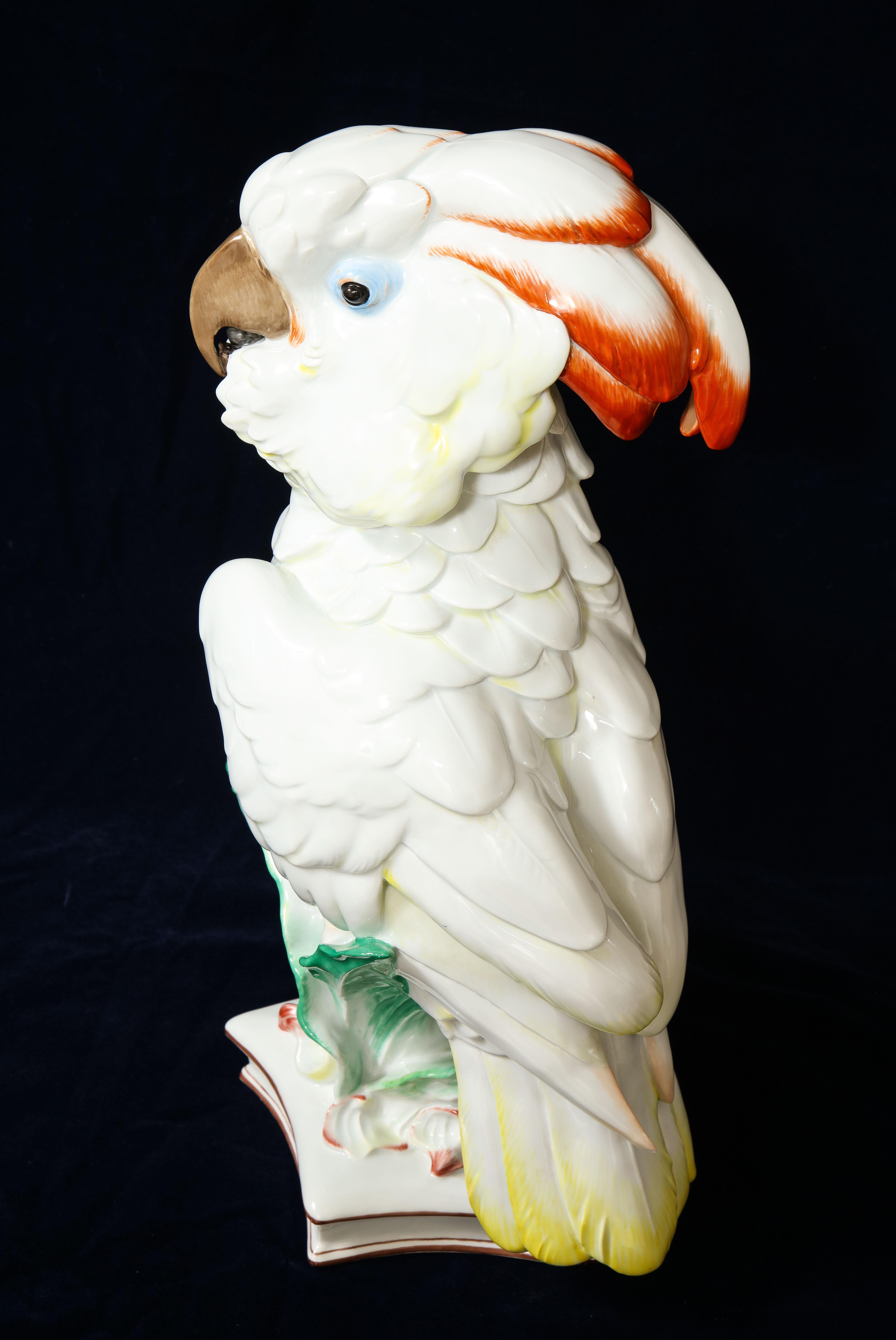 Rococo Large Antique Meissen Porcelain Model of a Seated Cockatoo, Pfiffer Period