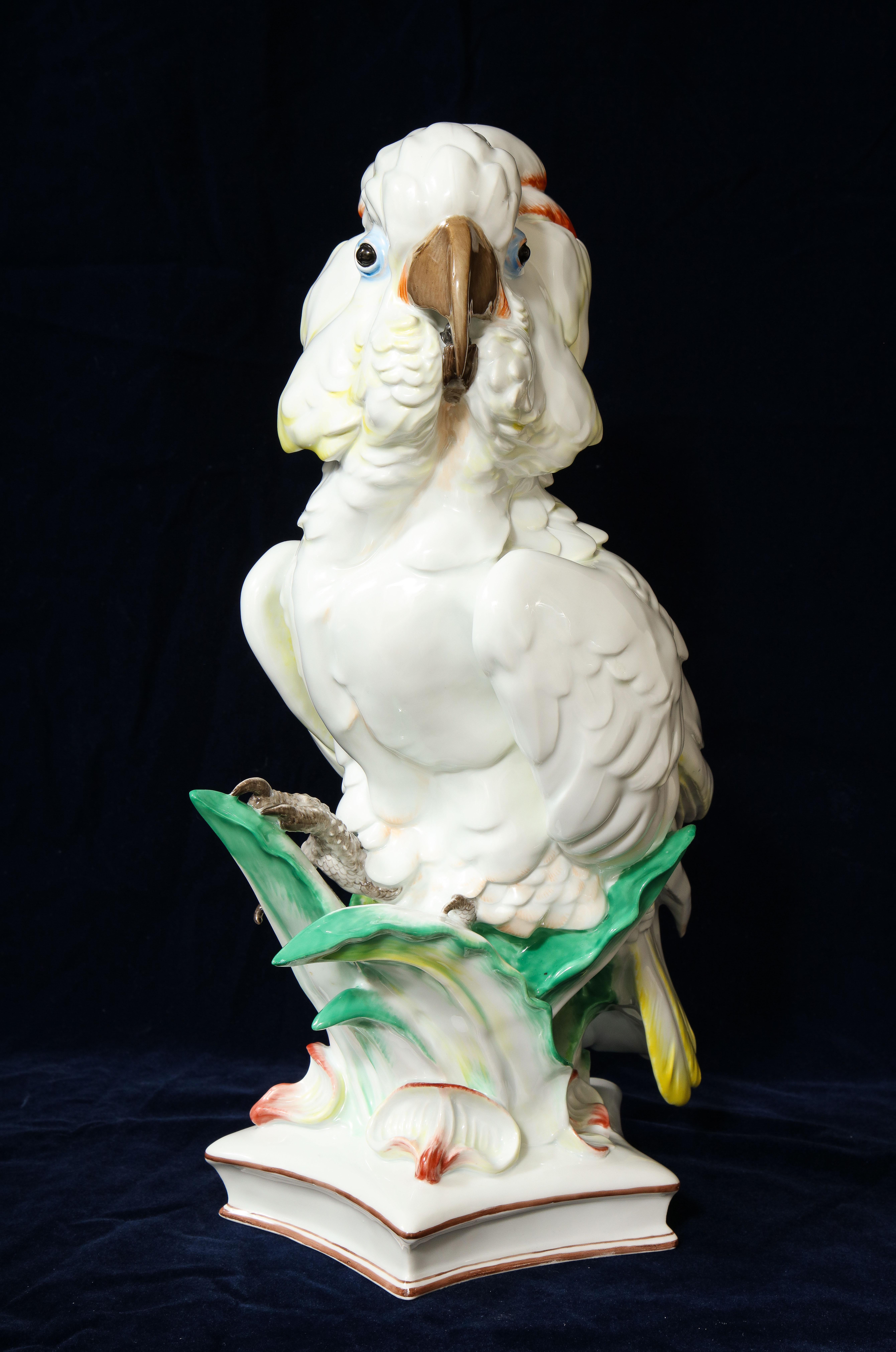 German Large Antique Meissen Porcelain Model of a Seated Cockatoo, Pfiffer Period