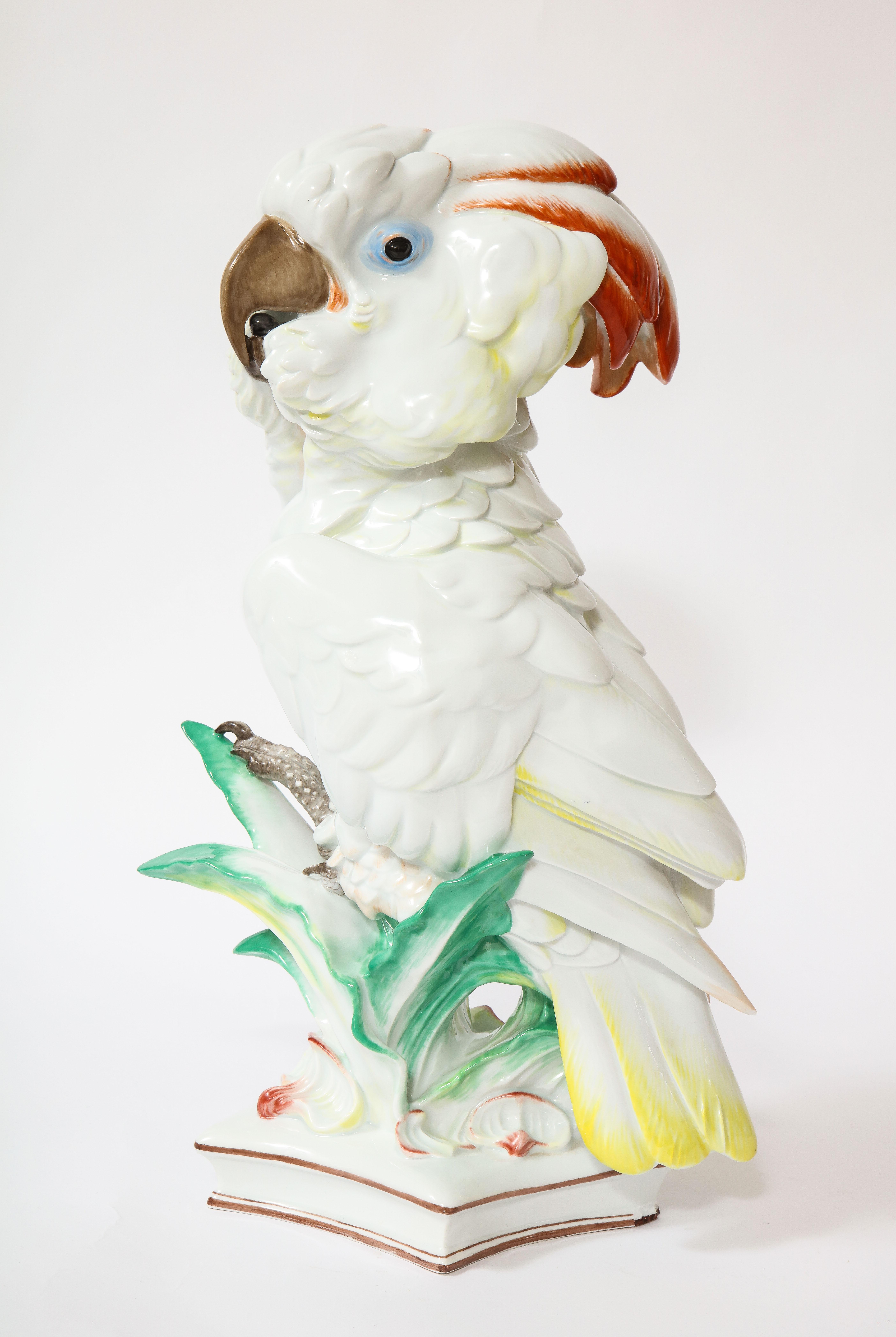 Large Antique Meissen Porcelain Model of a Seated Cockatoo, Pfiffer Period In Good Condition In New York, NY