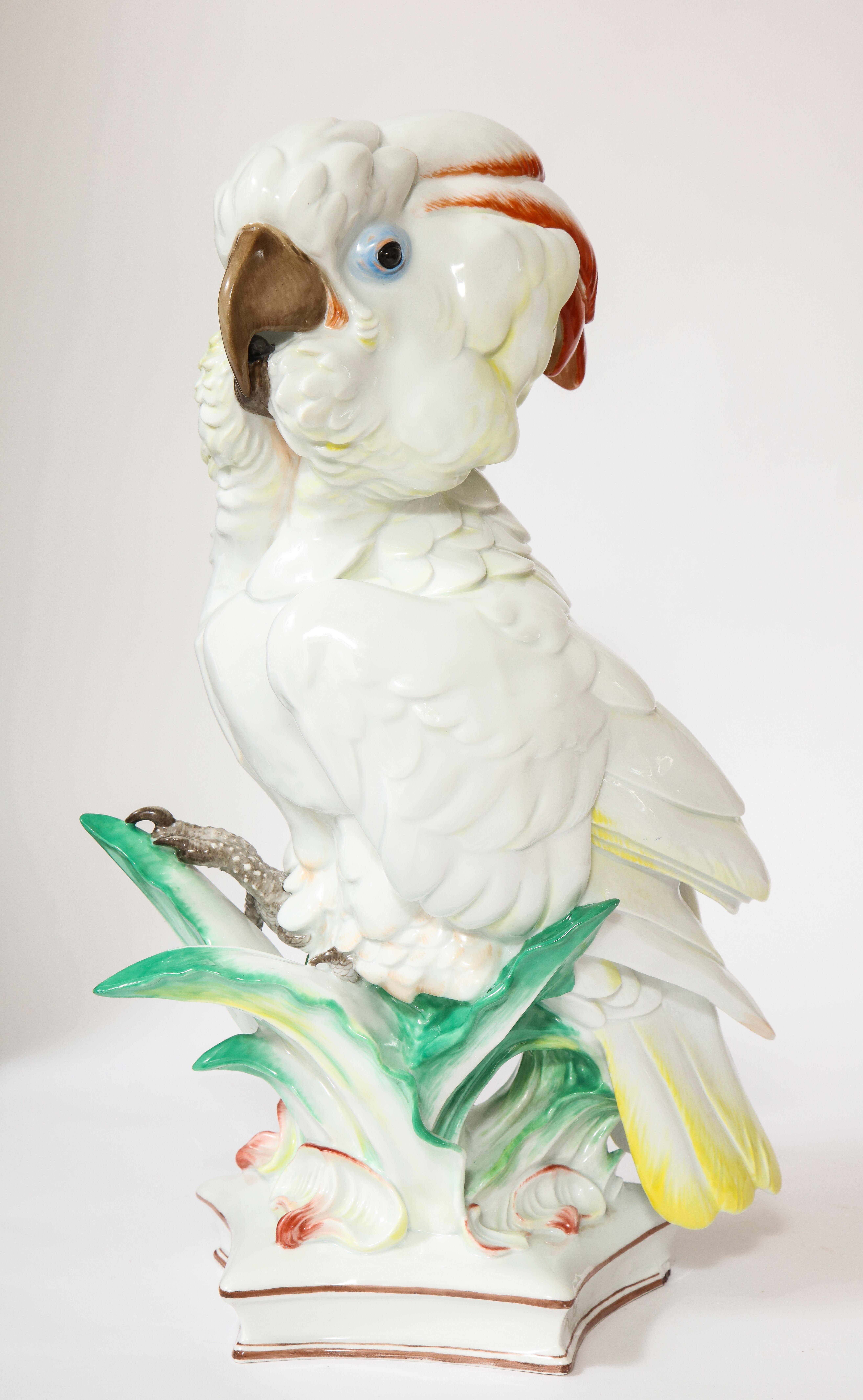 Early 20th Century Large Antique Meissen Porcelain Model of a Seated Cockatoo, Pfiffer Period