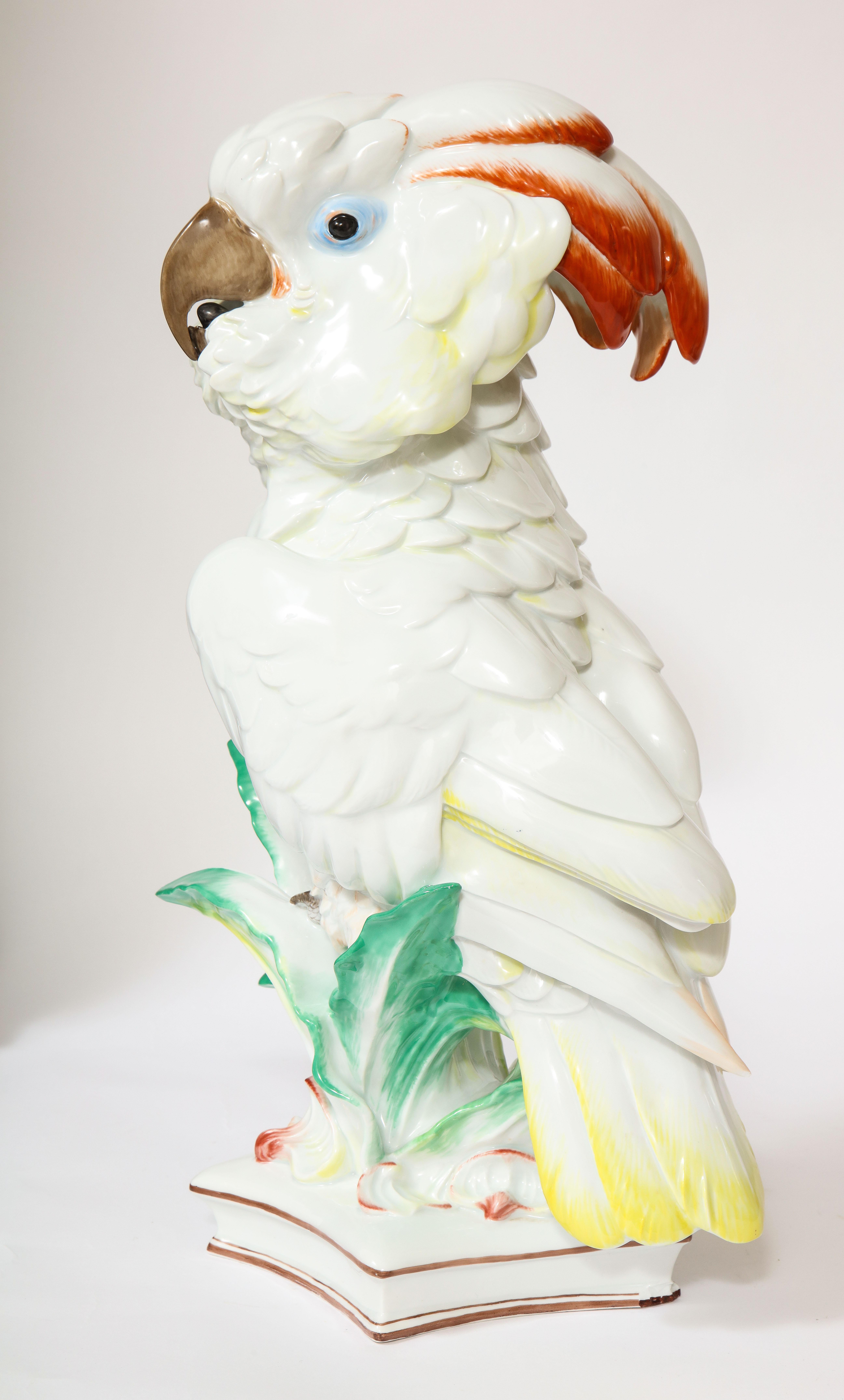 Large Antique Meissen Porcelain Model of a Seated Cockatoo, Pfiffer Period 1
