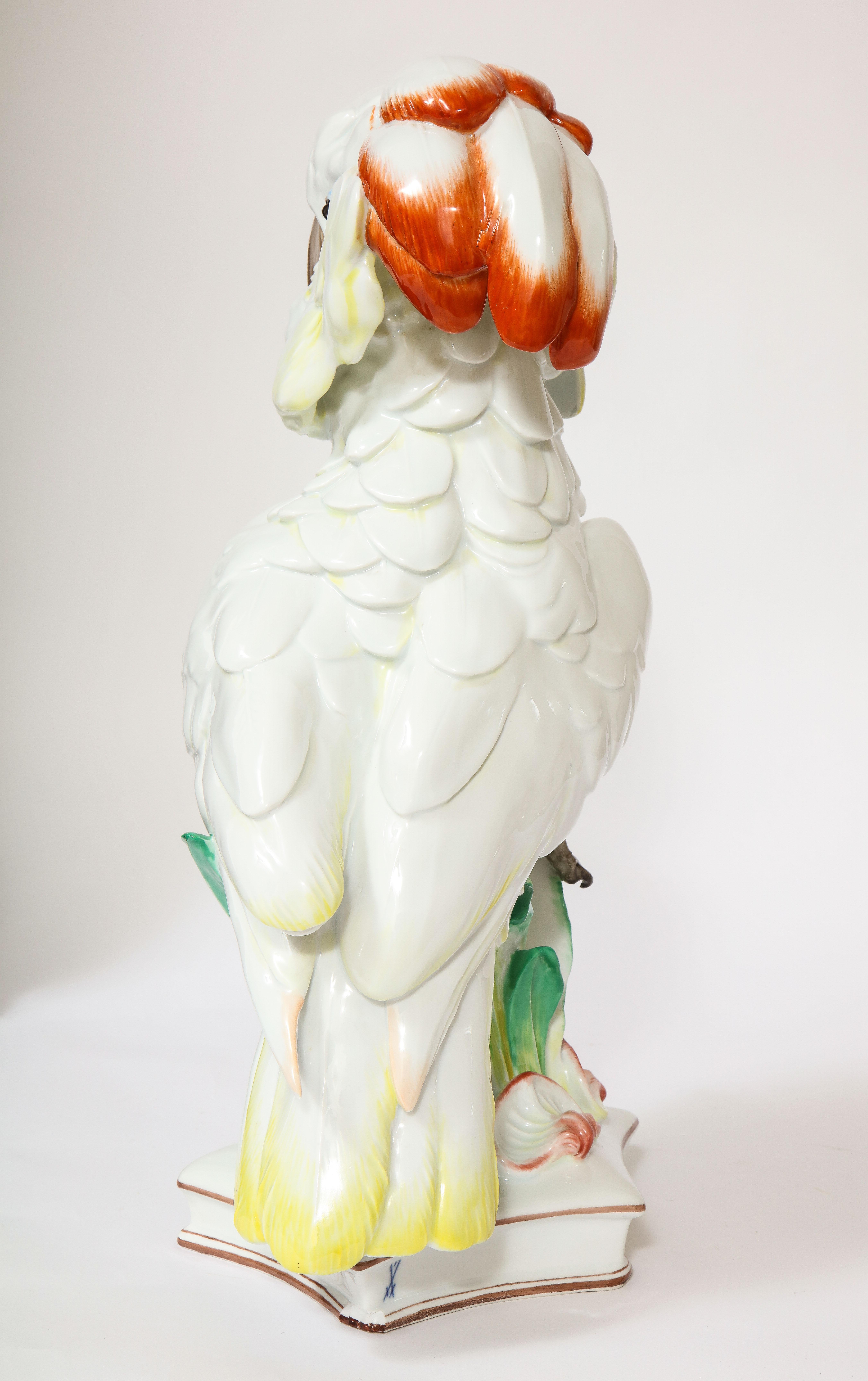 Large Antique Meissen Porcelain Model of a Seated Cockatoo, Pfiffer Period 2