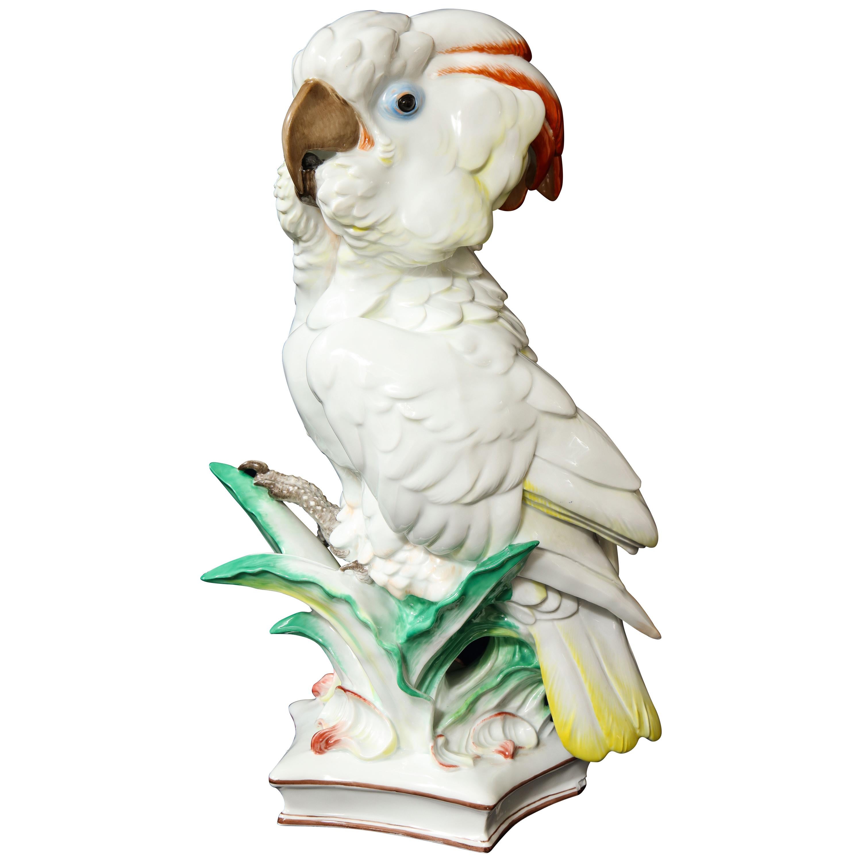 Large Antique Meissen Porcelain Model of a Seated Cockatoo, Pfiffer Period