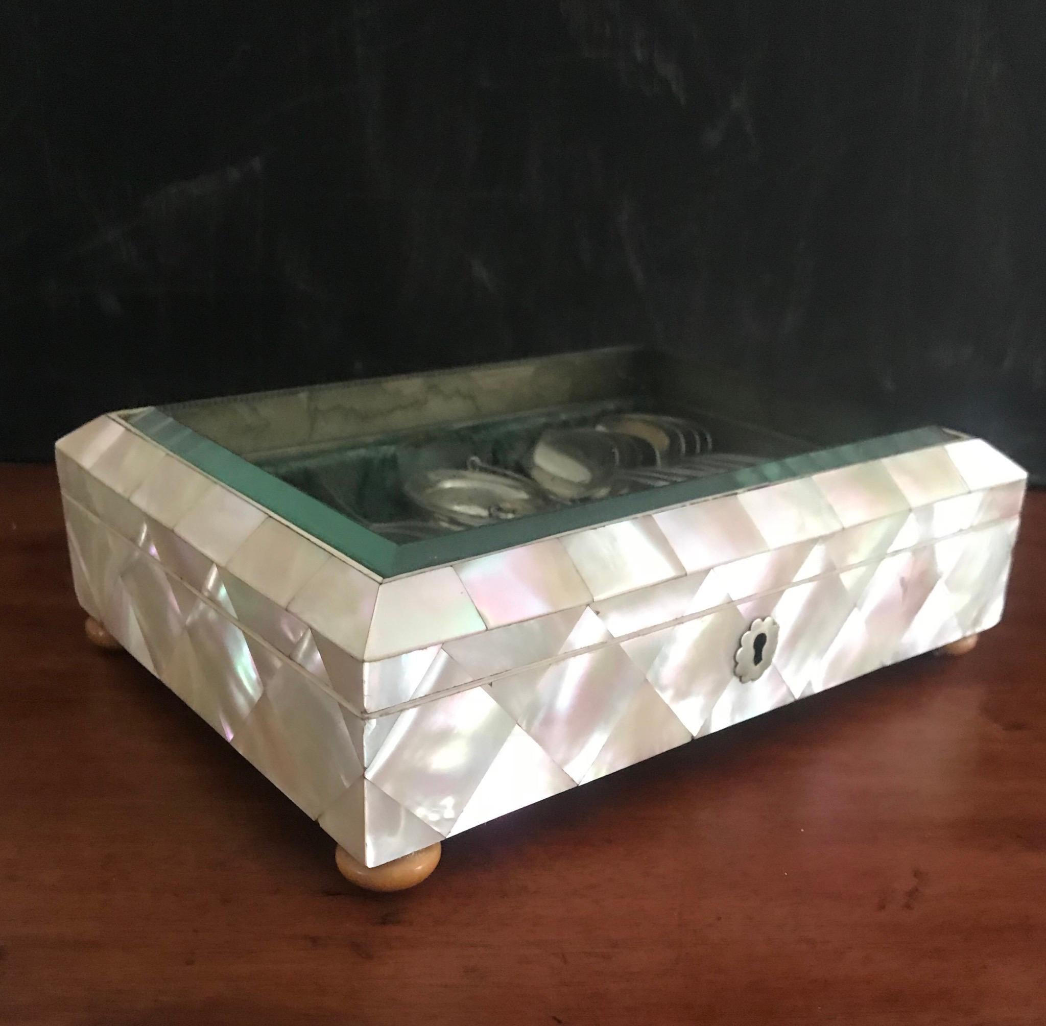 Mint C. and Large Antique Display Shell Box w. Beveled Glass Top & Silver Spoons For Sale 6