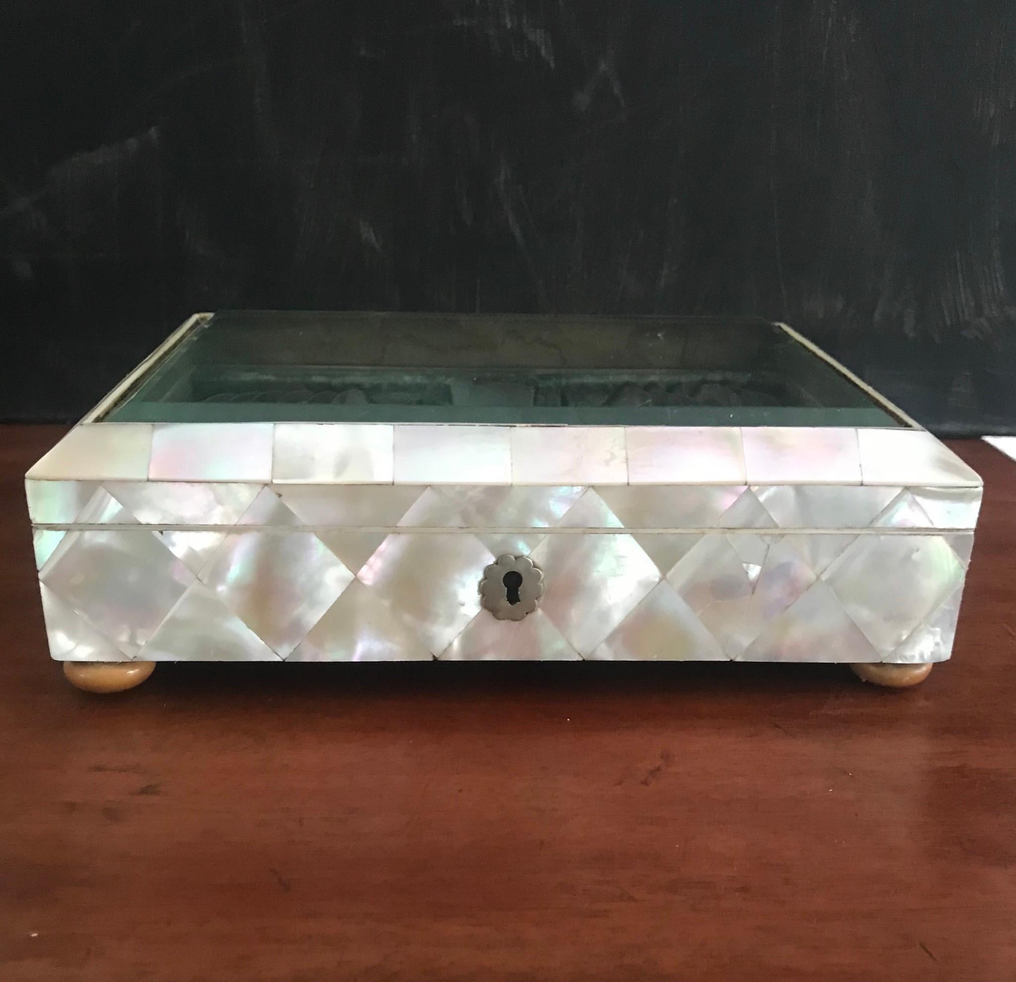 Hand-Crafted Mint C. and Large Antique Display Shell Box w. Beveled Glass Top & Silver Spoons For Sale